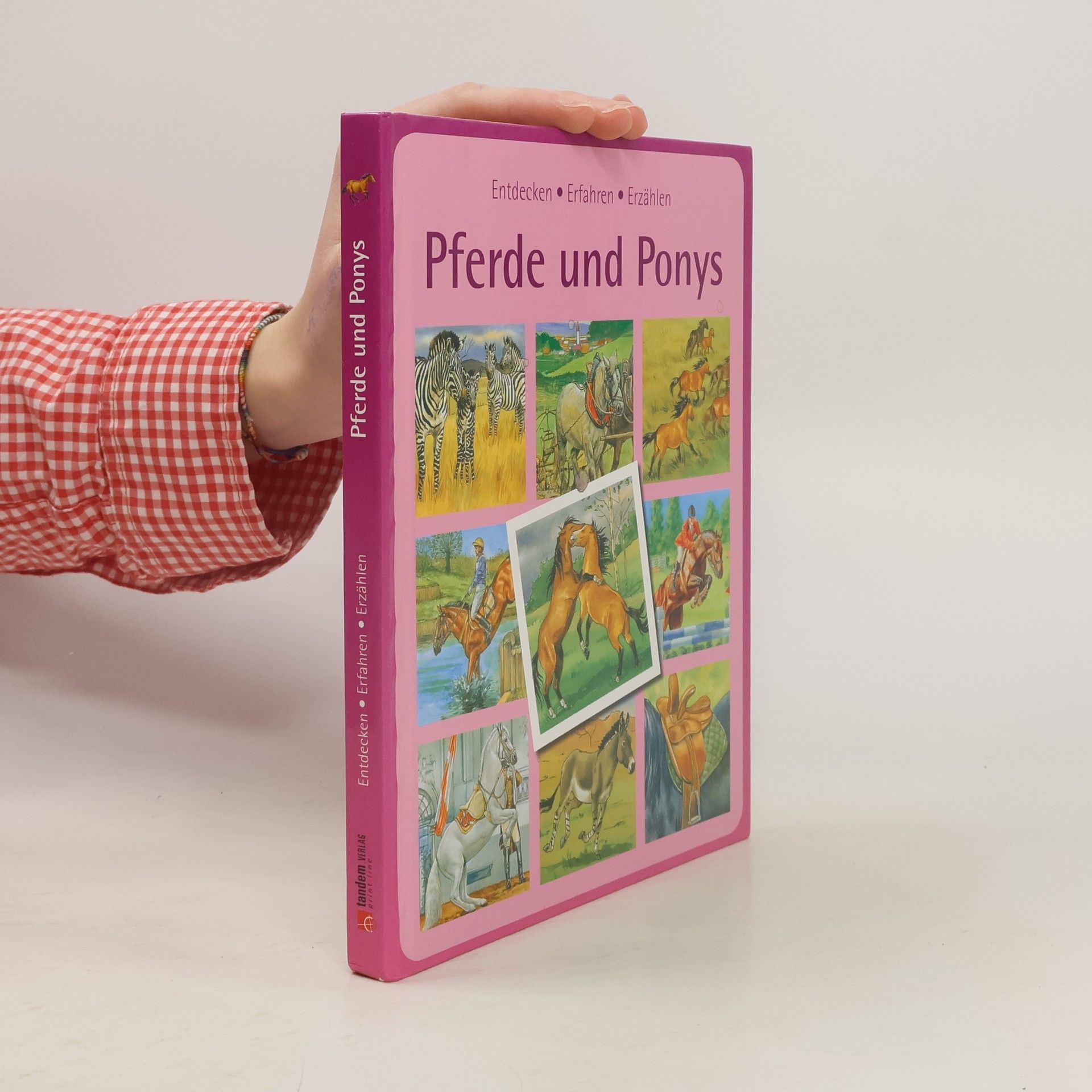 Autorenkollektiv Pferde und Ponys