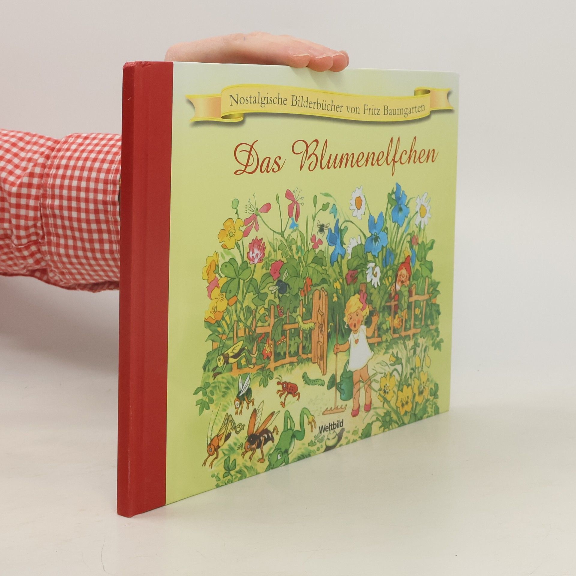 Fritz Baumgarten Das Blumenelfchen