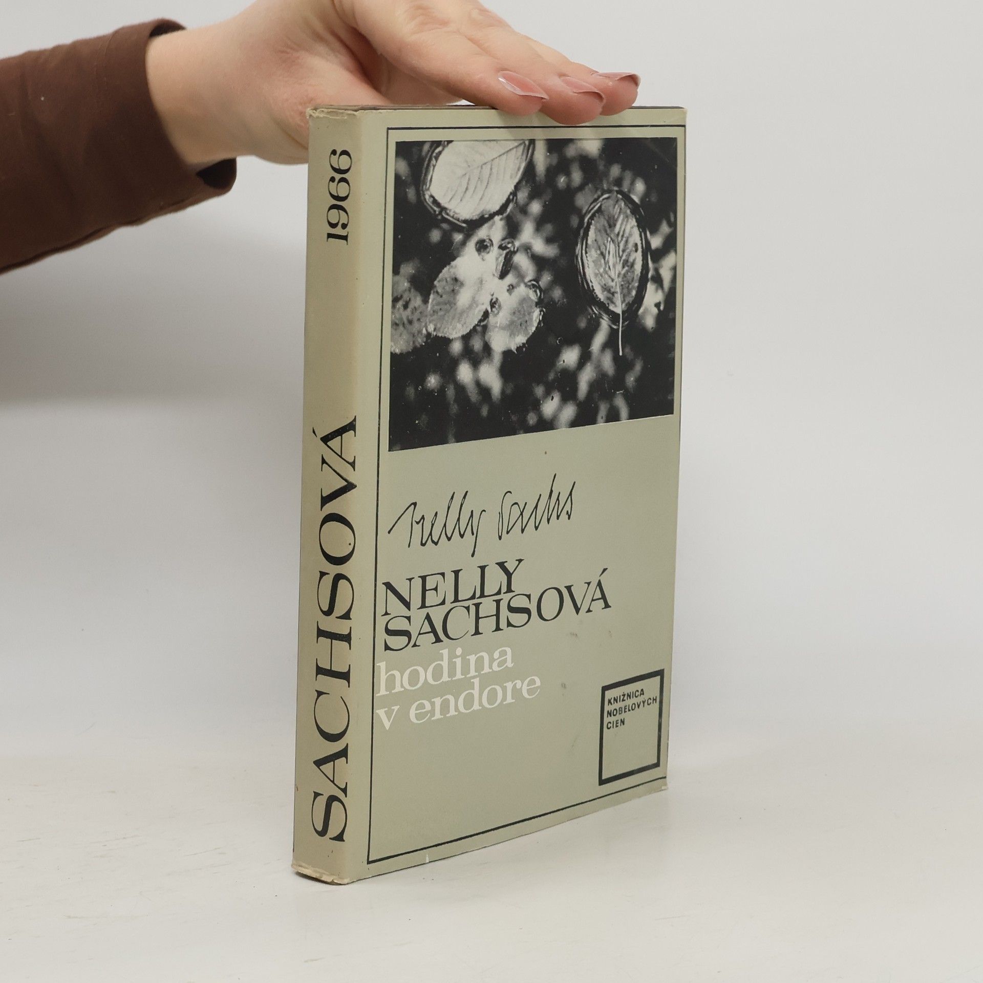 Nelly Sachs Hodina v endore