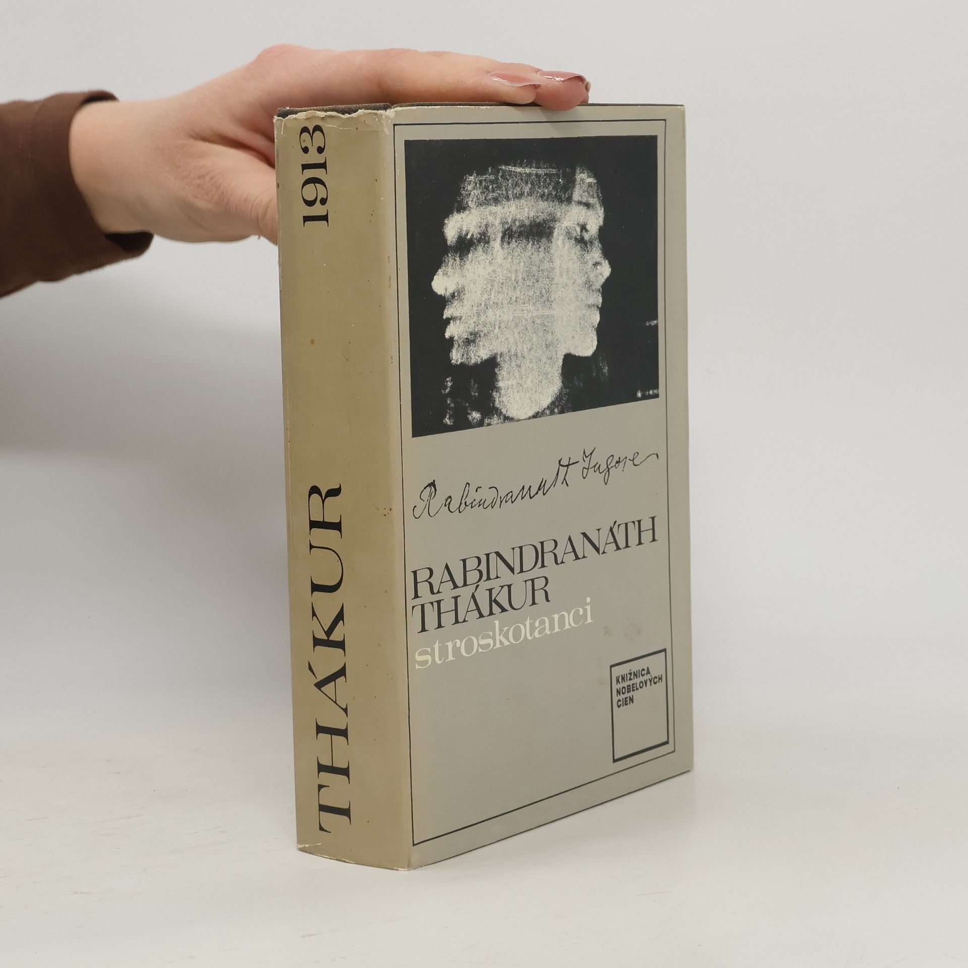 Rabindranath Tagore Stroskotanci