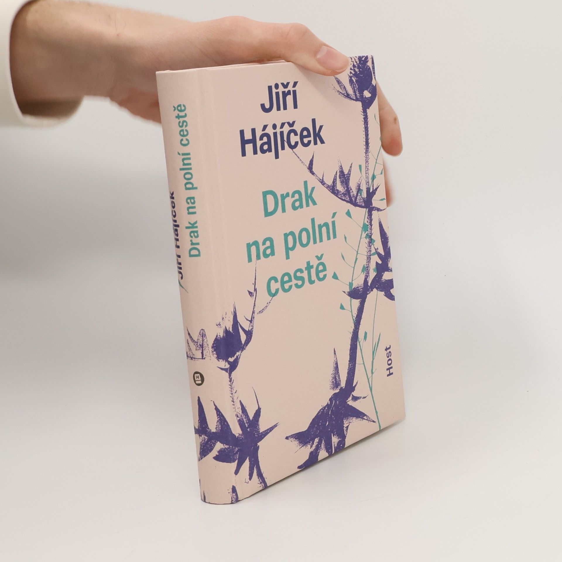 Drak na polní cestě