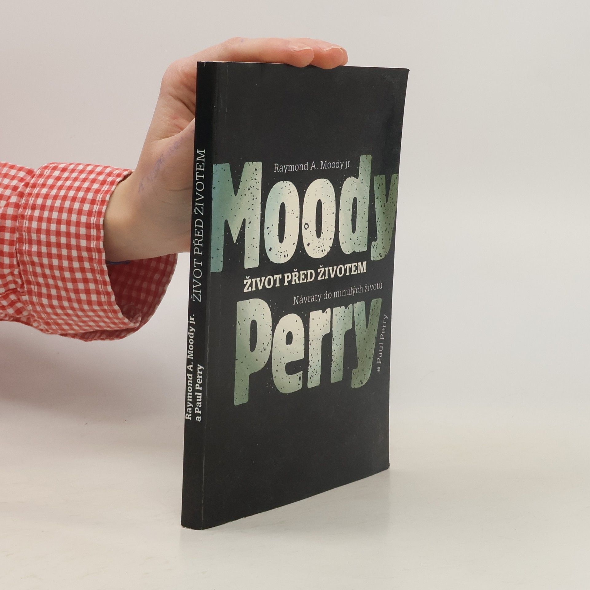 Život před životem: Návraty do minulých životů