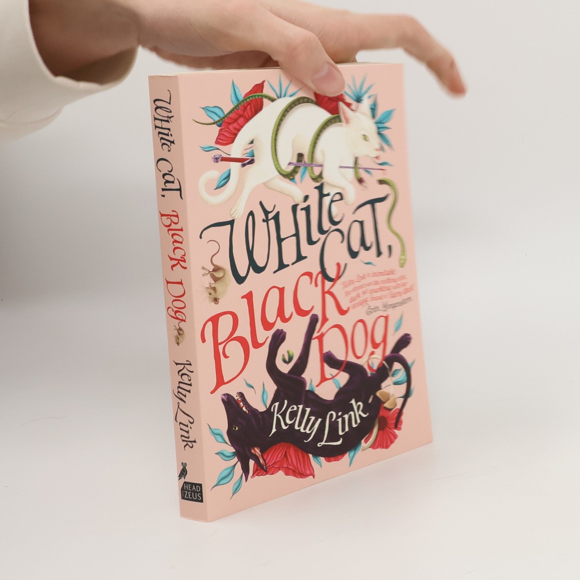 Kelly Link White Cat, Black Dog