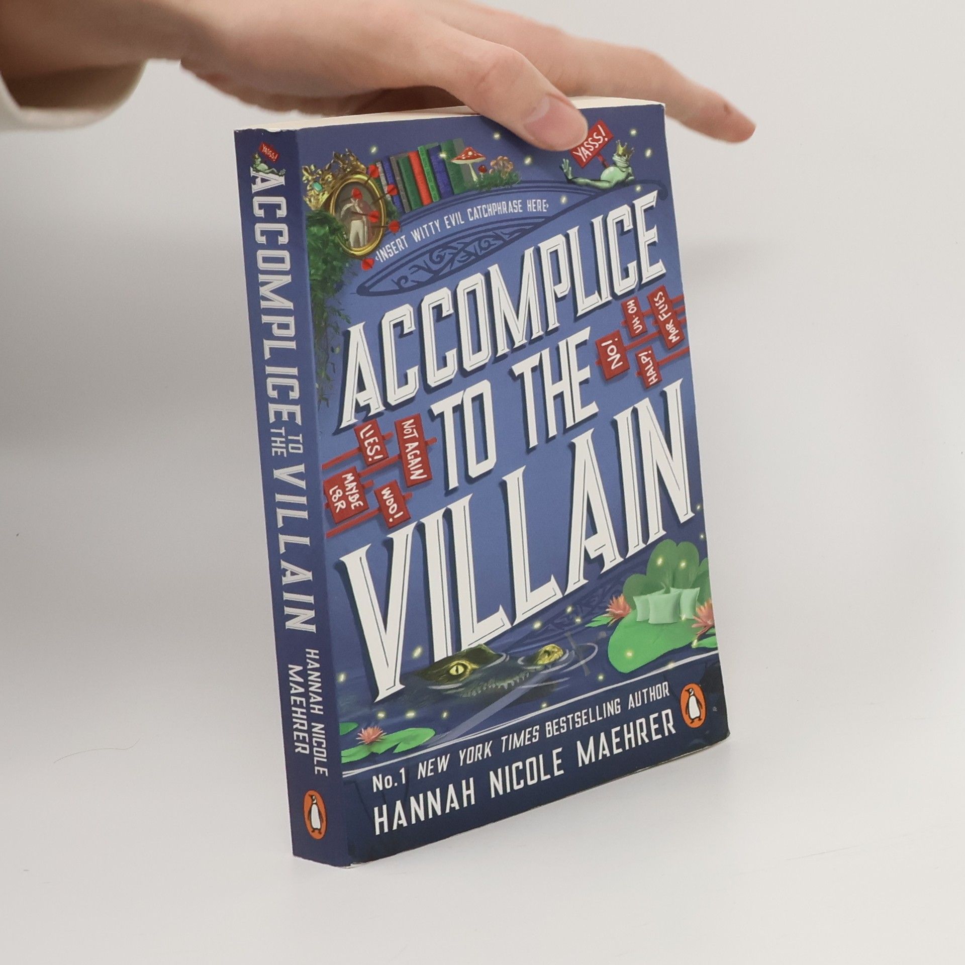 Hannah Nicole Maehrer Accomplice to the Villain