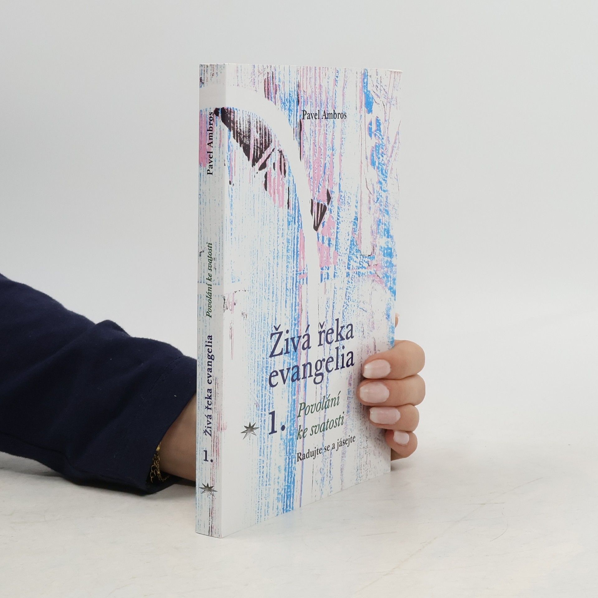 Pavel Ambros Živá řeka evangelia 1 - Povolání ke svatosti