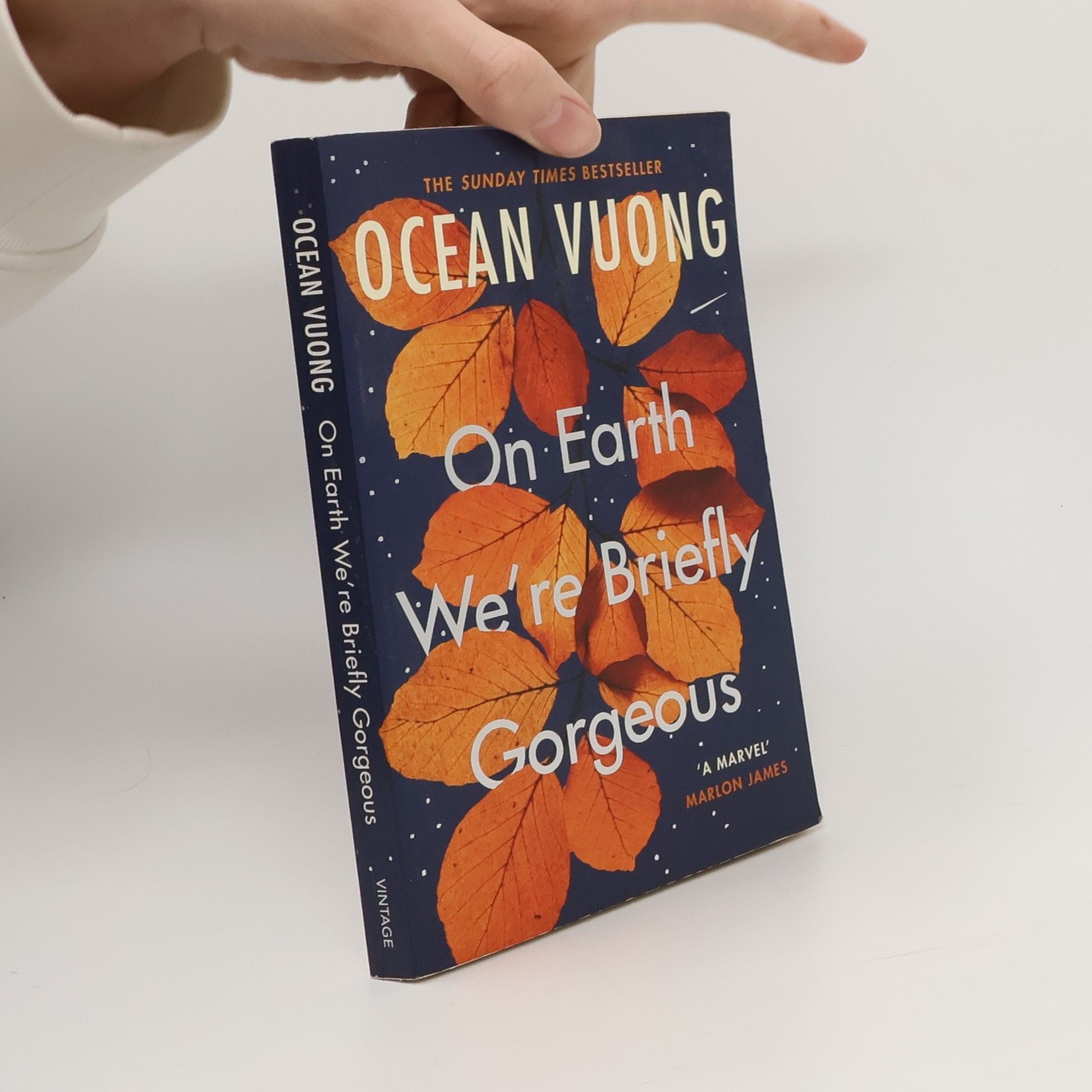 Ocean Vuong On Earth We're Briefly Gorgeous