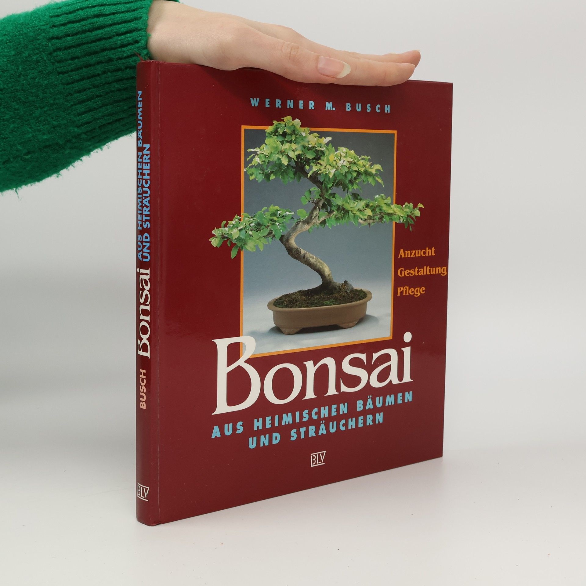 Werner M. Busch Bonsai aus heimischen Bäumen und Sträuchern