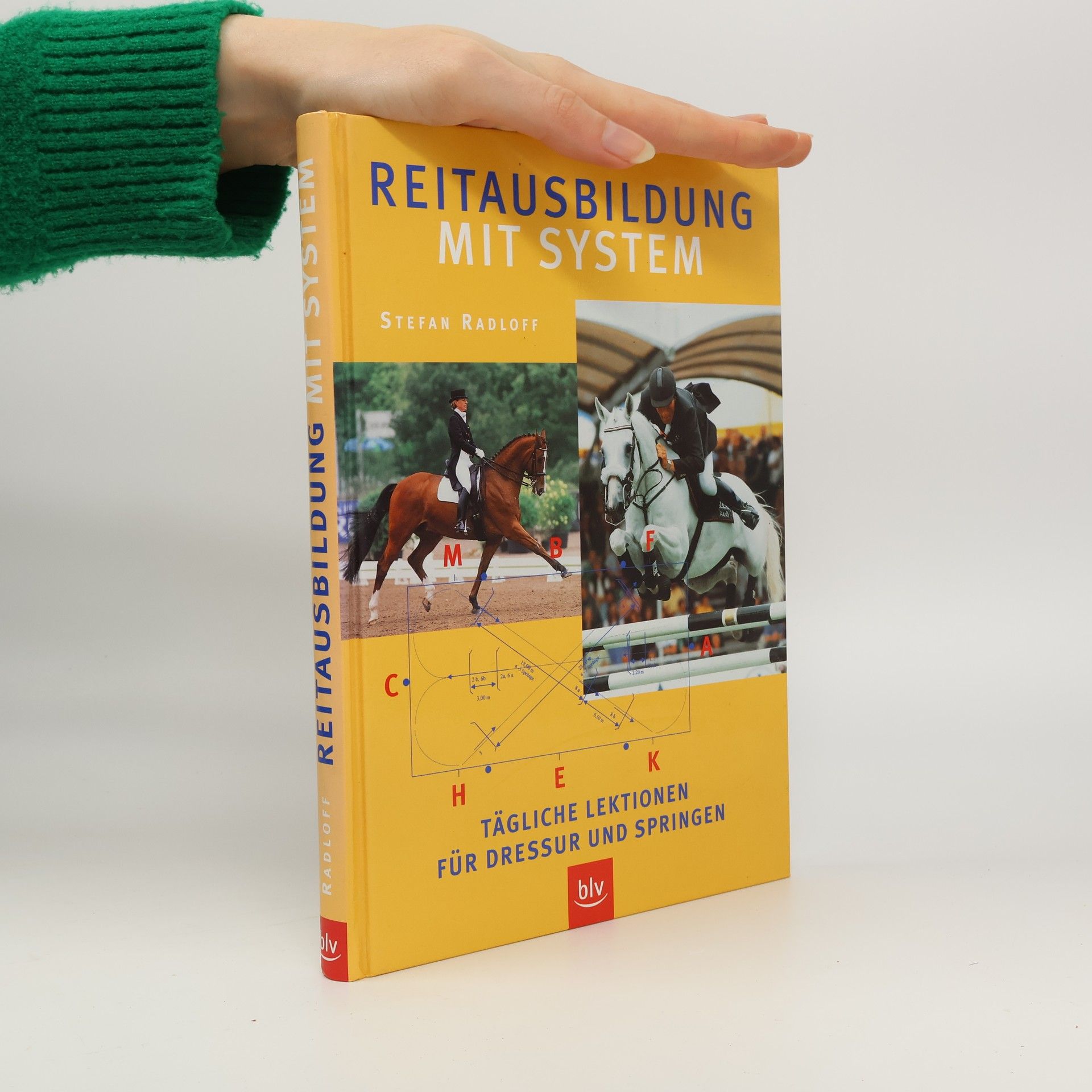 Reitausbildung mit System