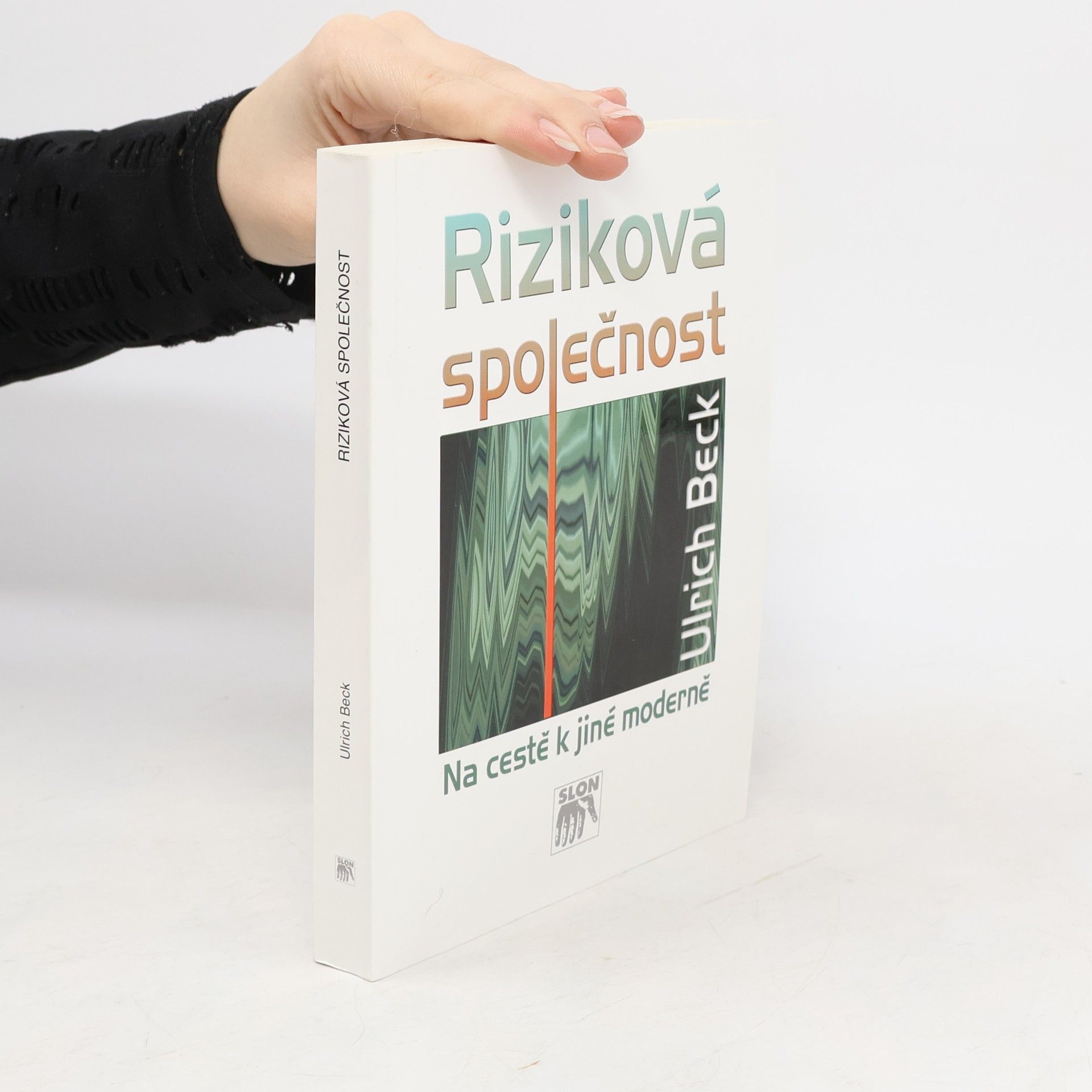 Ulrich Beck Riziková společnost