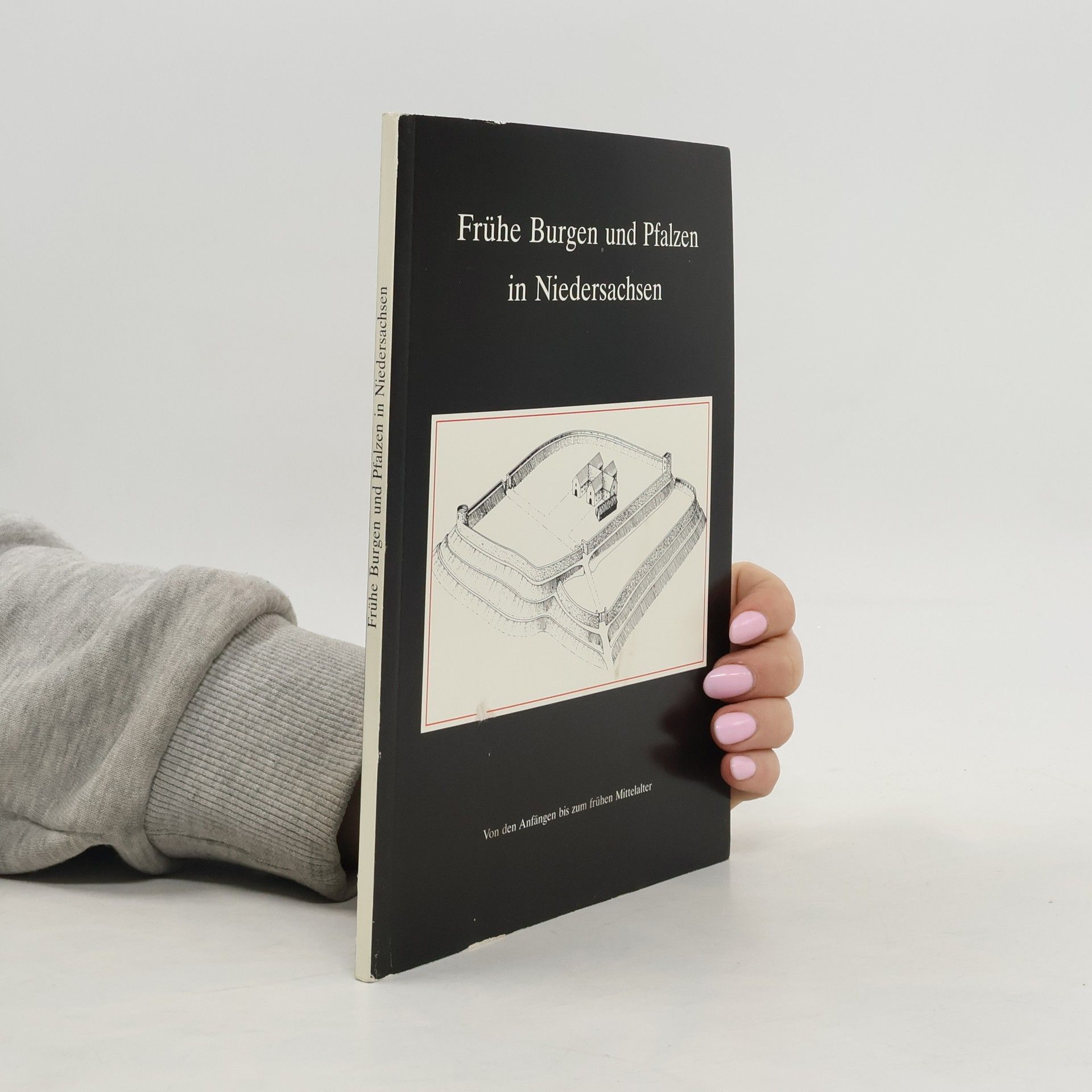Hans-Wilhelm Heine Frühe Burgen und Pfalzen in Niedersachsen