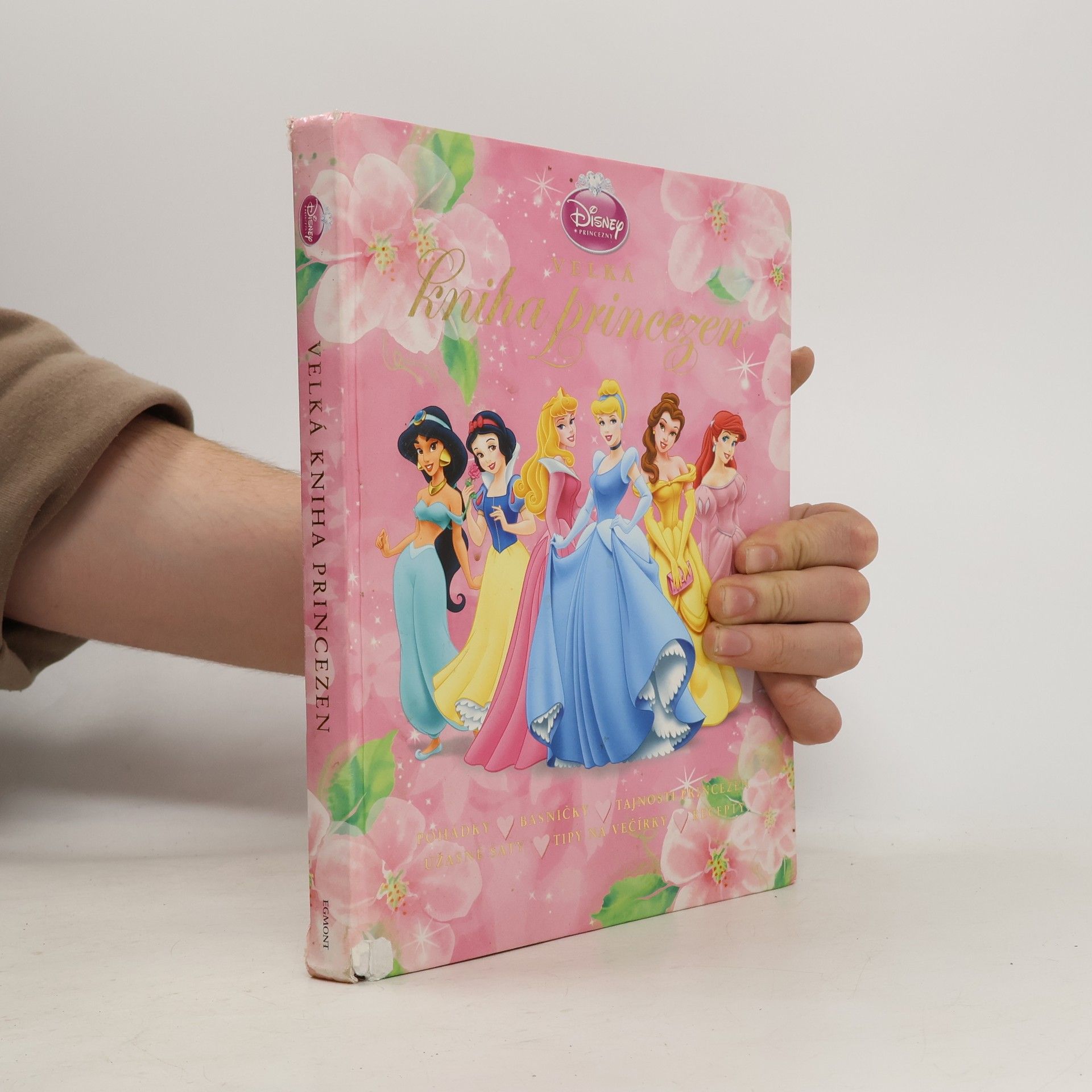 Velká kniha princezen