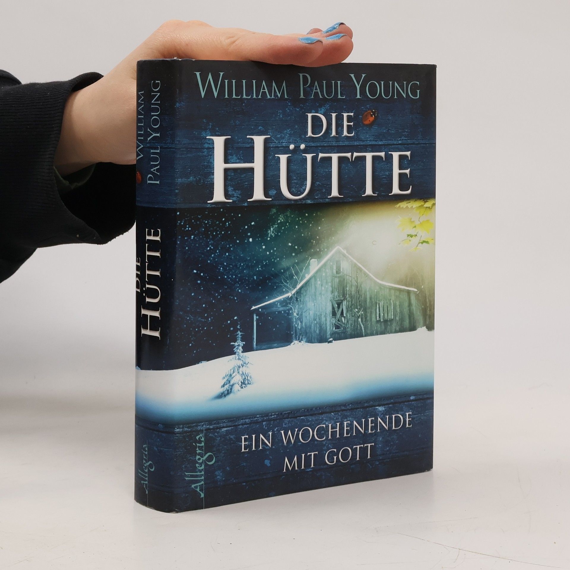 William Paul Young Die Hütte