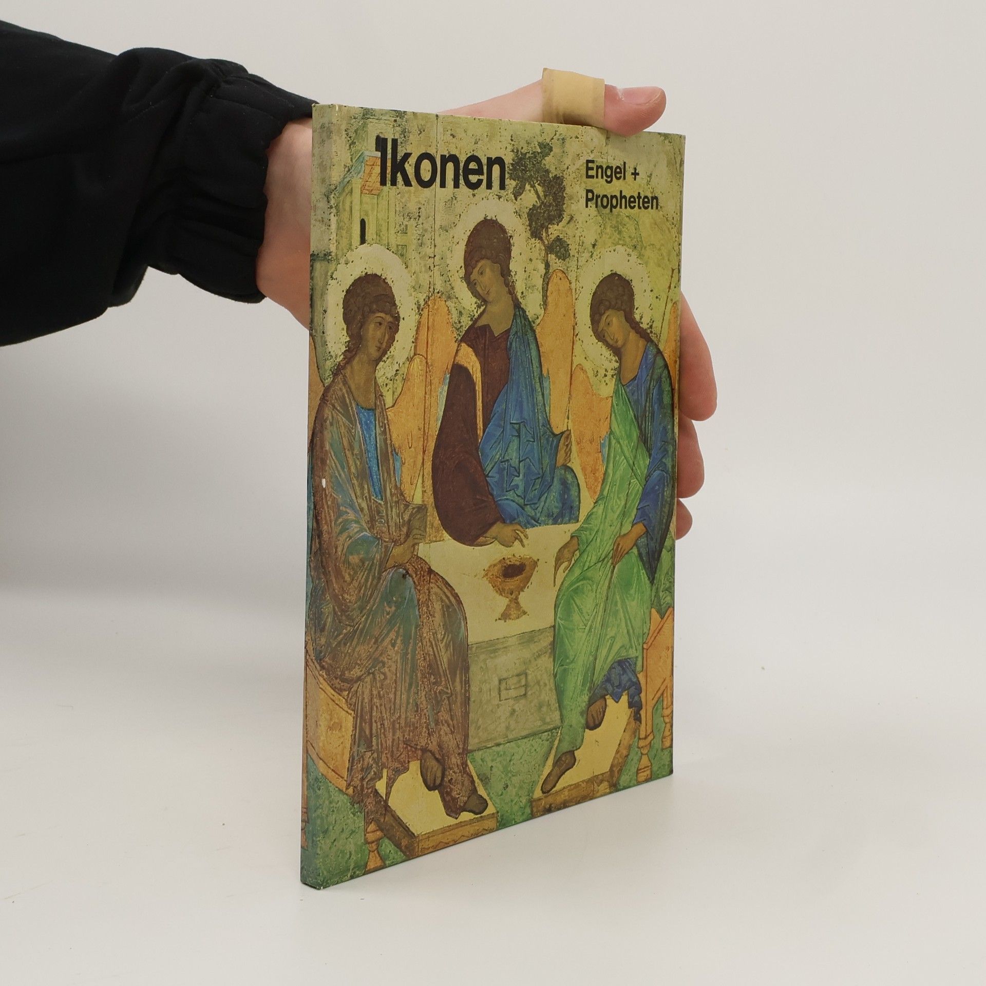 Kolektiv autorů Ikonen