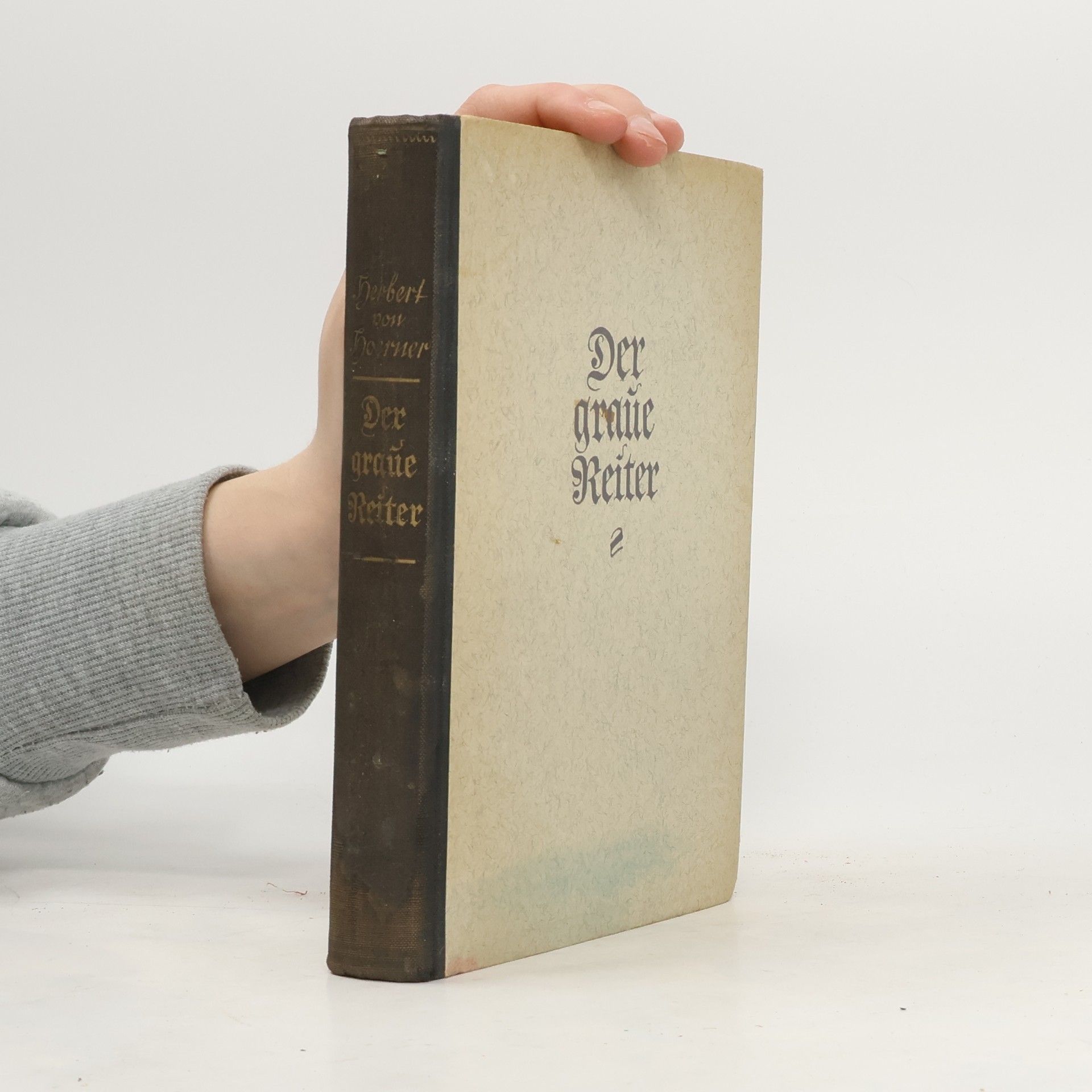Herbert von Hoerner Der graue Reiter