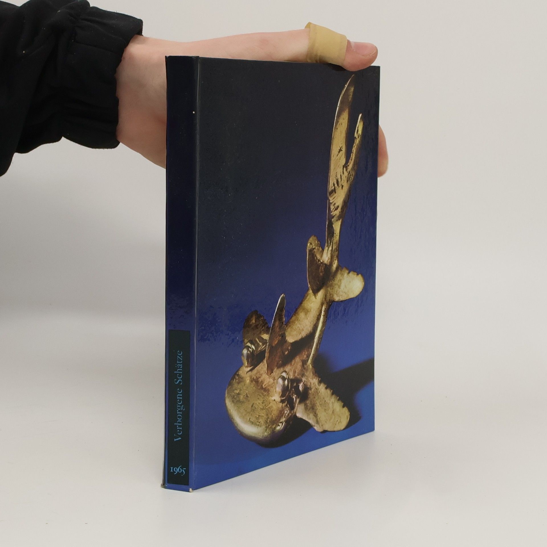 kolektiv Verborgene Schätze