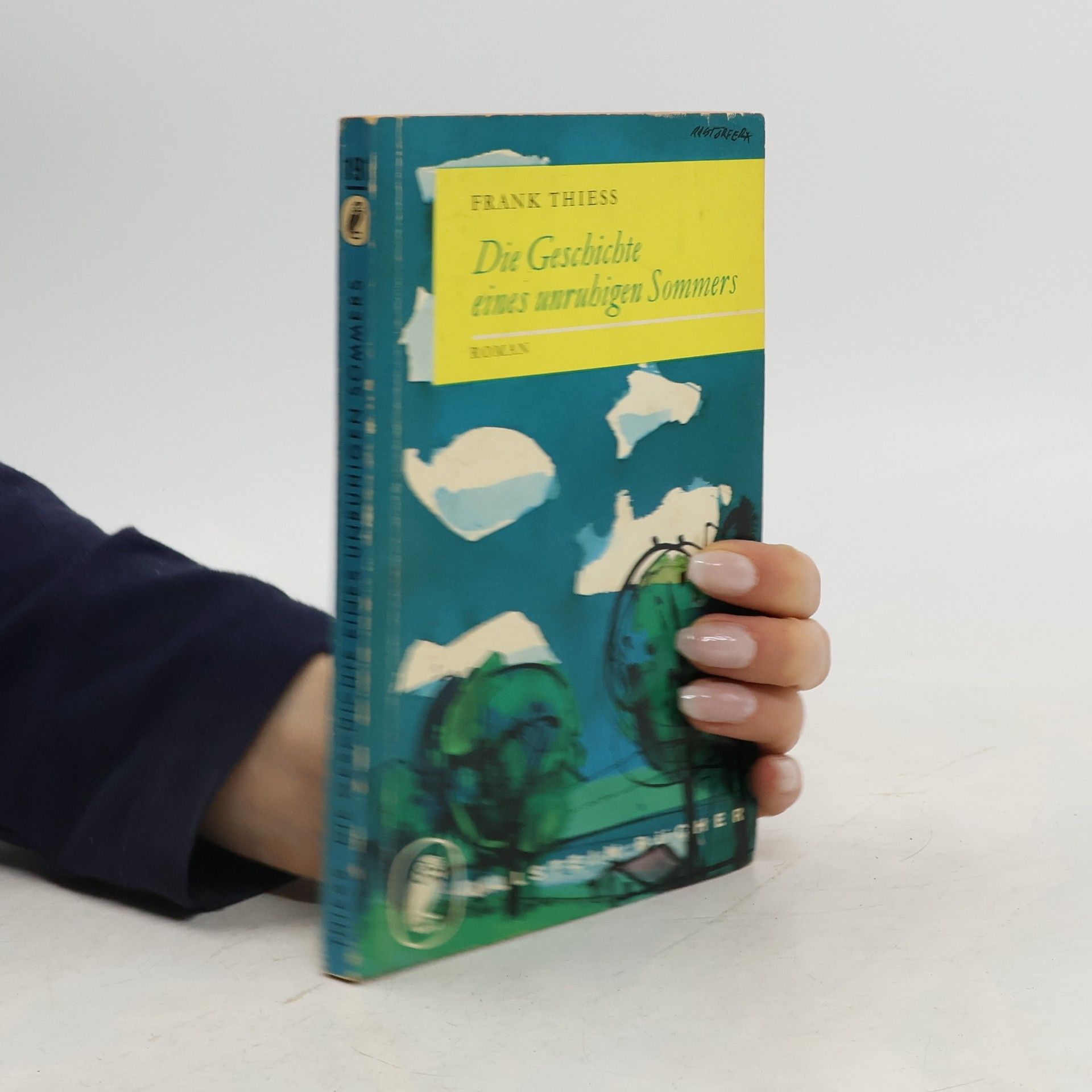 Frank Thiess Die Geschichte eines unrubigen Sommers