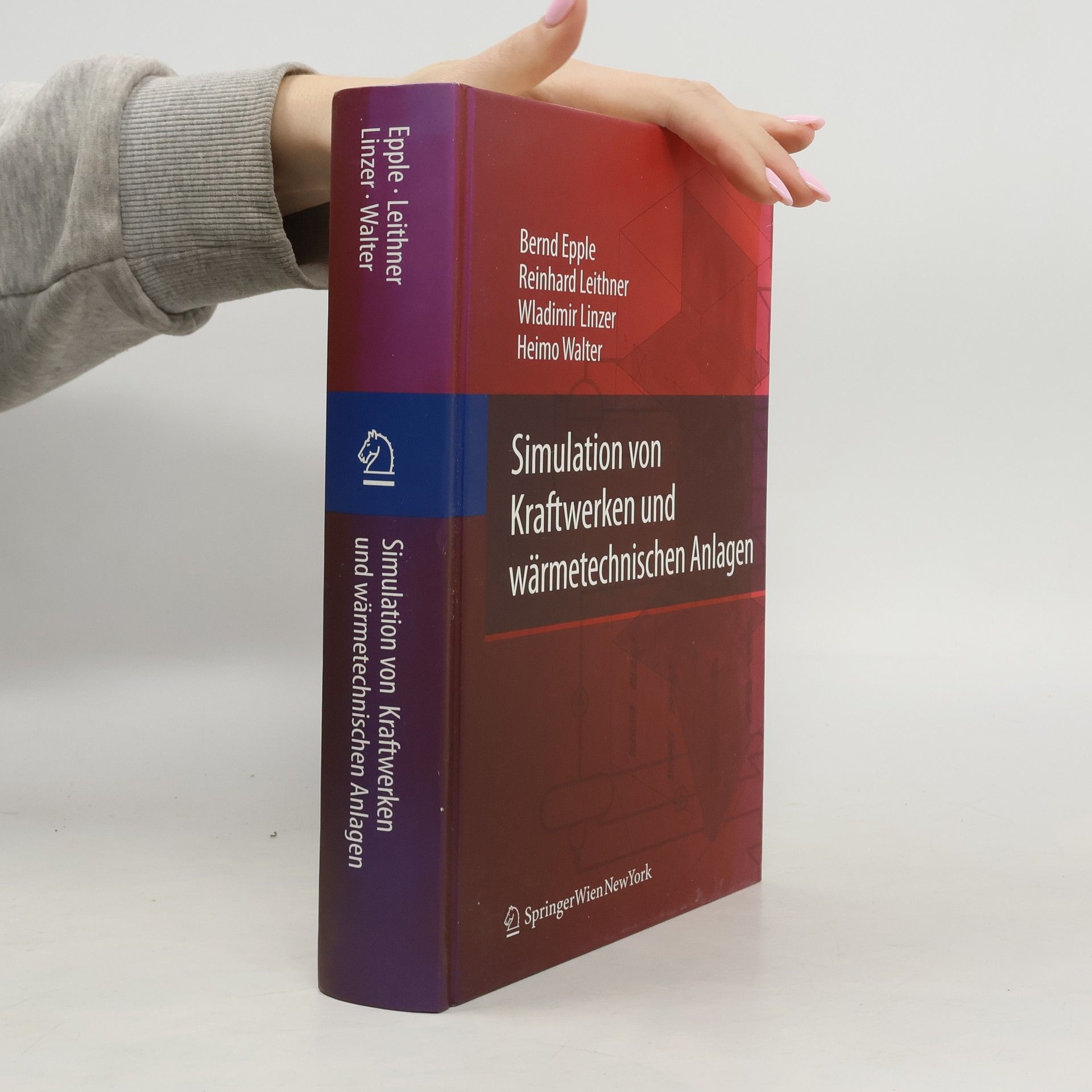 Bernd Epple Simulation von Kraftwerken und wärmetechnischen Anlagen