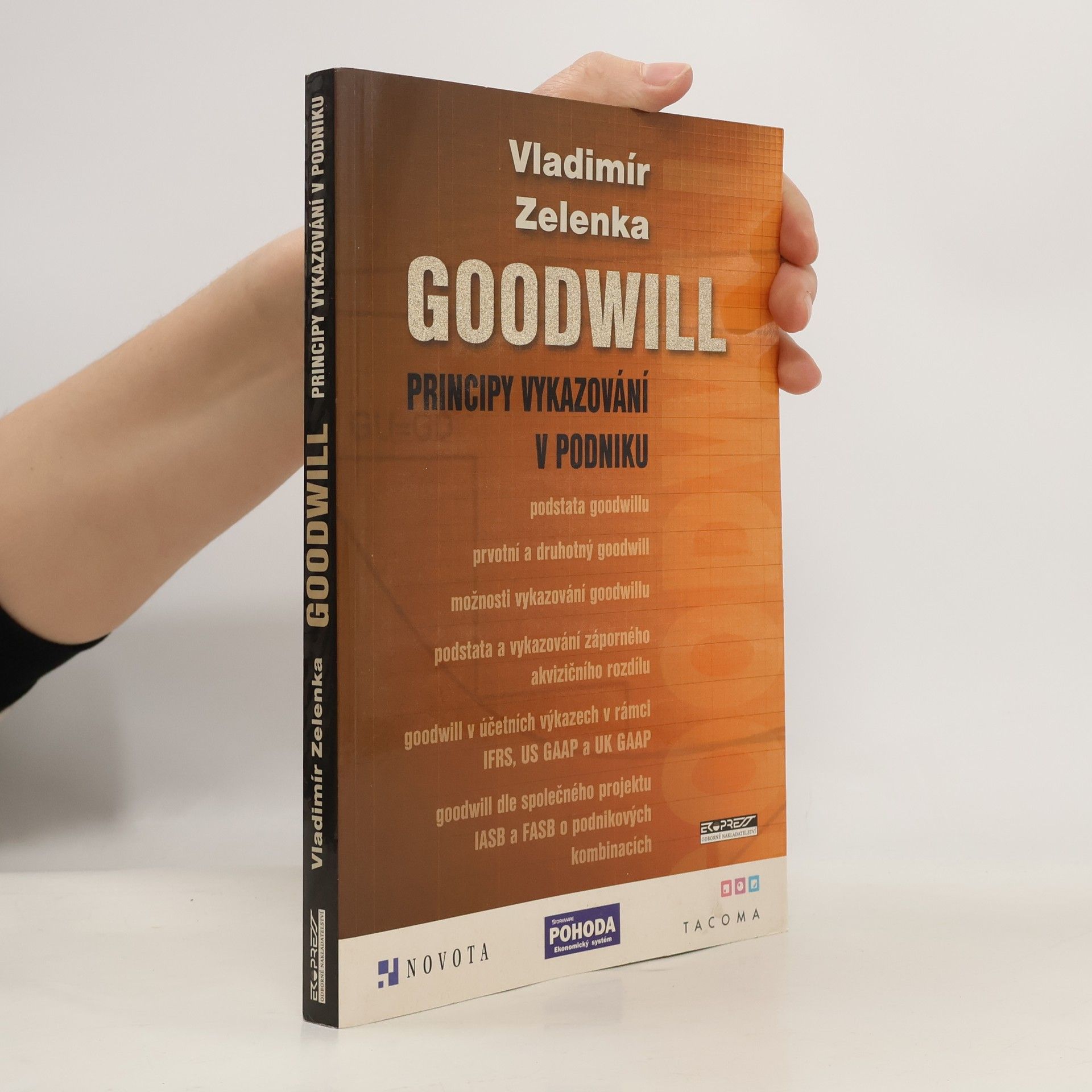 Goodwill : principy vykazování v podniku