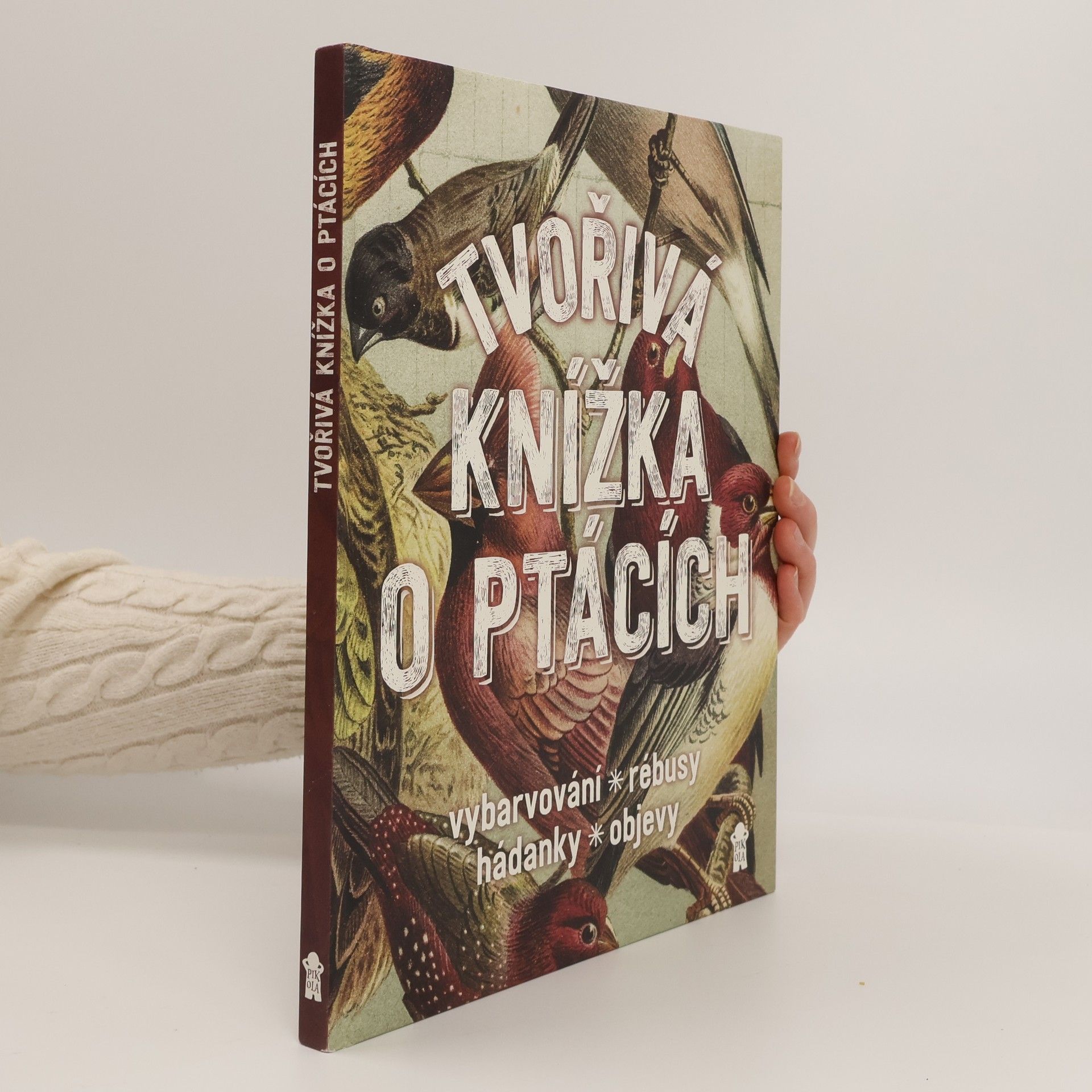 Geert Jan Roebers Tvořivá knížka o ptácích