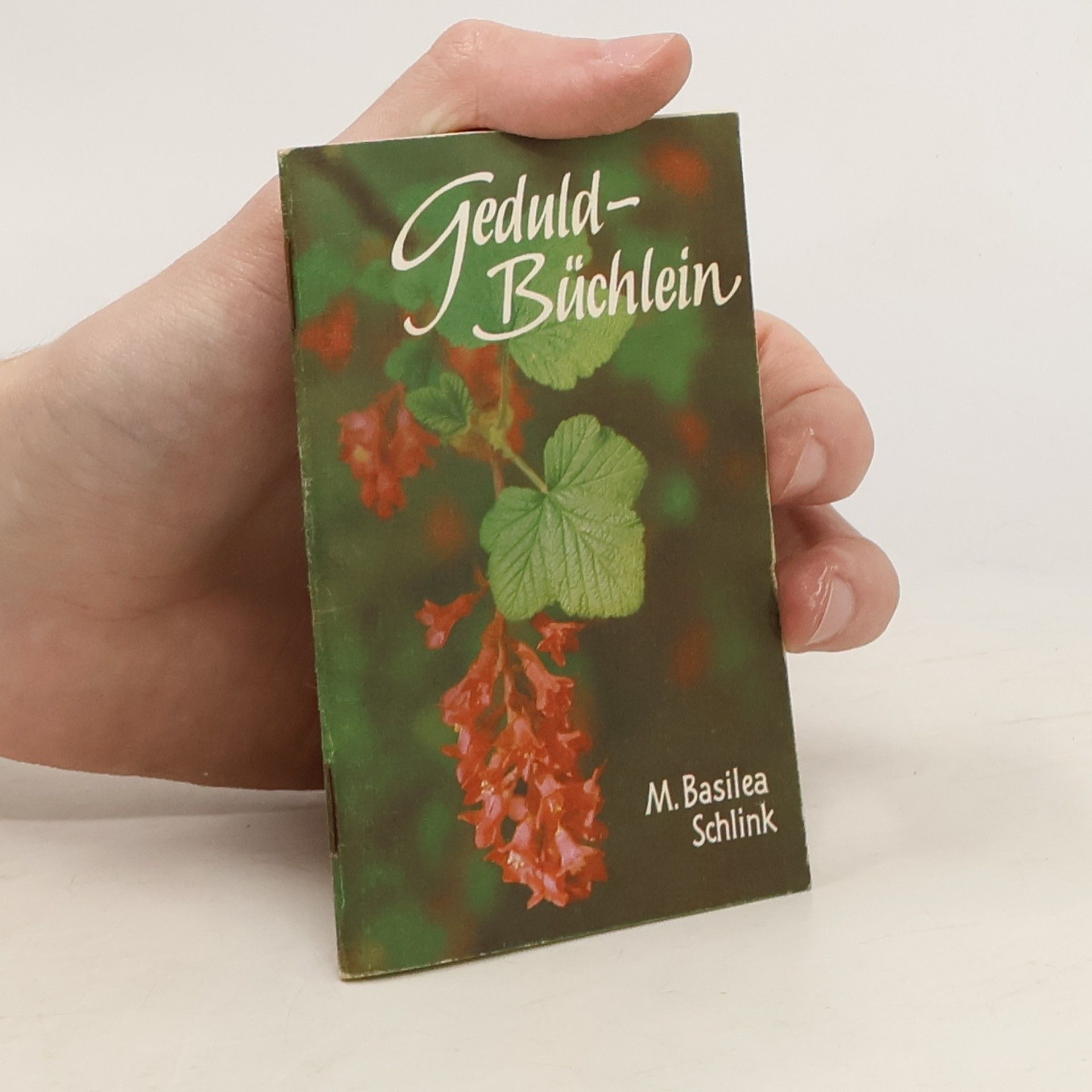 Basilea Schlink Die kleine Reihe: Geduld-Büchlein