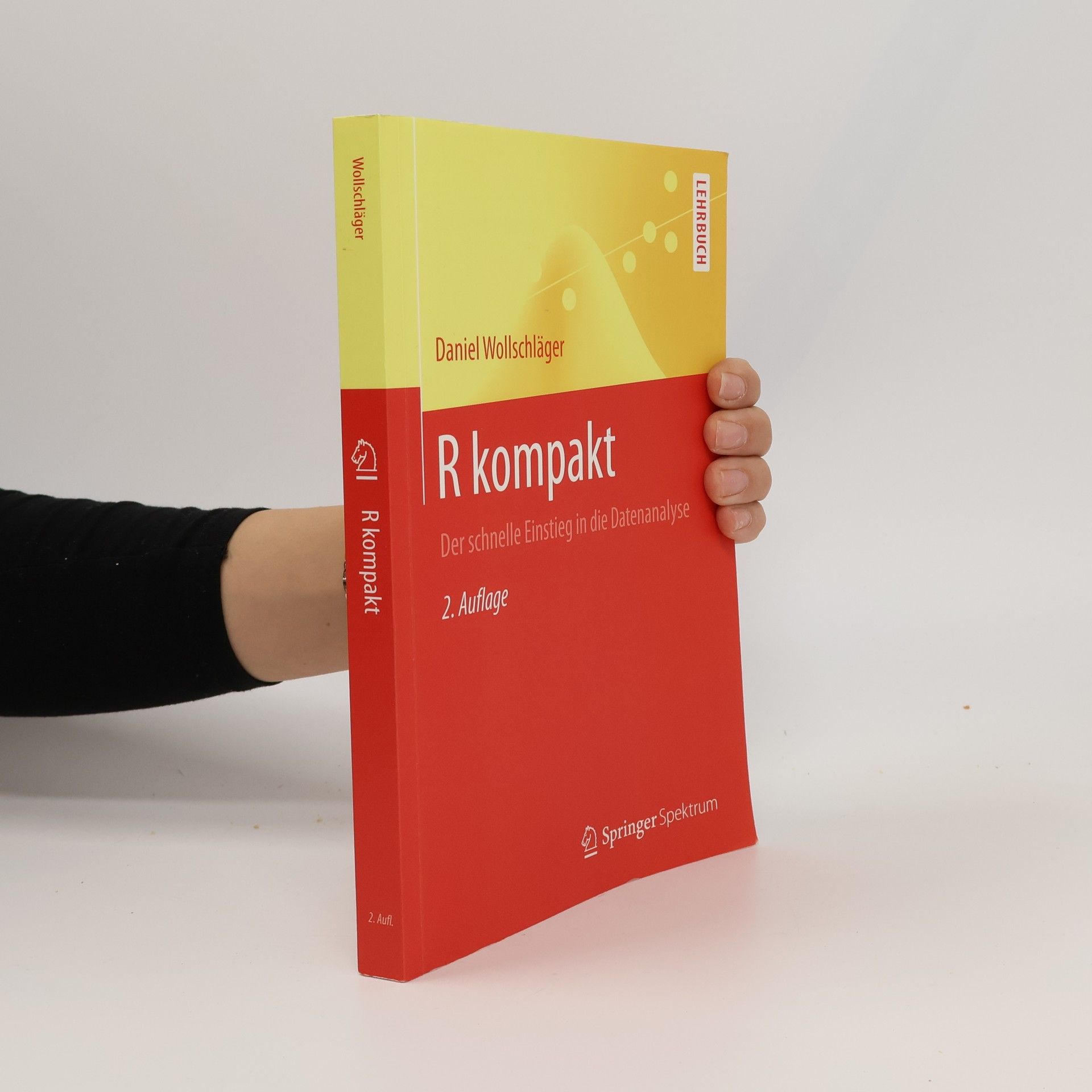Daniel Wollschläger Springer-Lehrbuch: R kompakt
