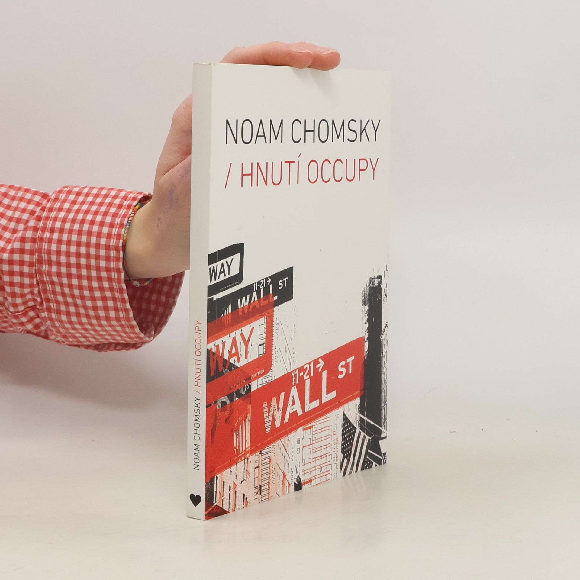 Noam Chomsky Hnutí Occupy