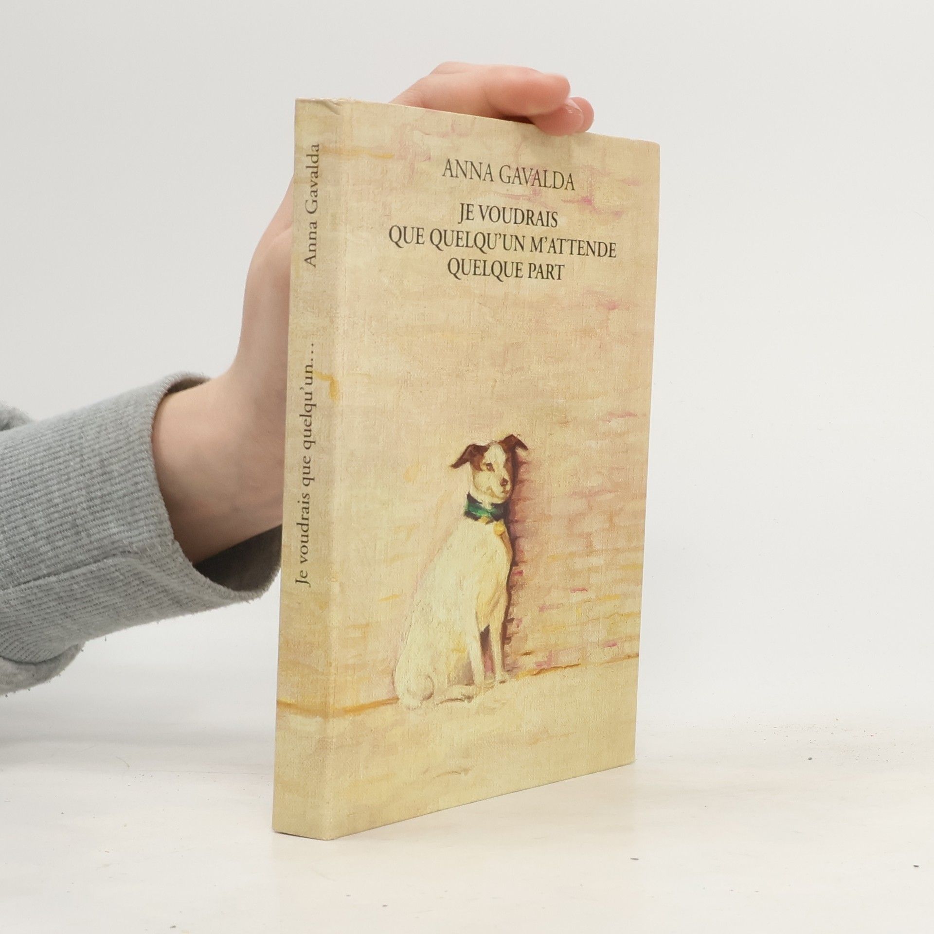 Anna Gavalda Je voudrais que quelqu'un m'attende quelque part