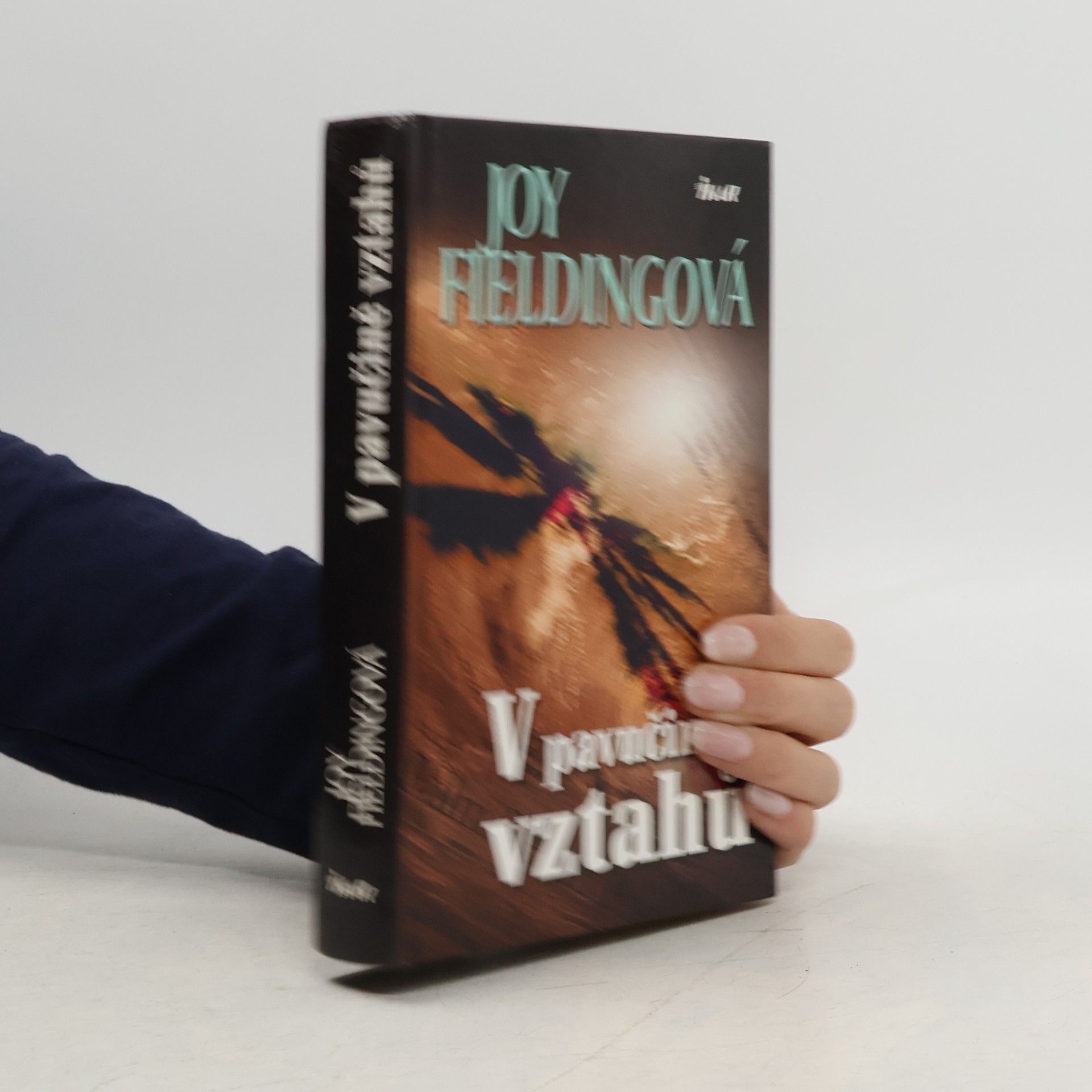 Joy Fielding V pavučině vztahů