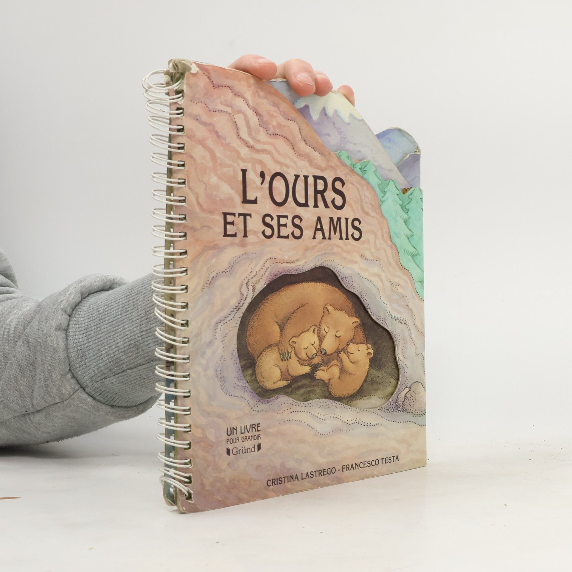 Cristina Lastrego L'ours et ses amis