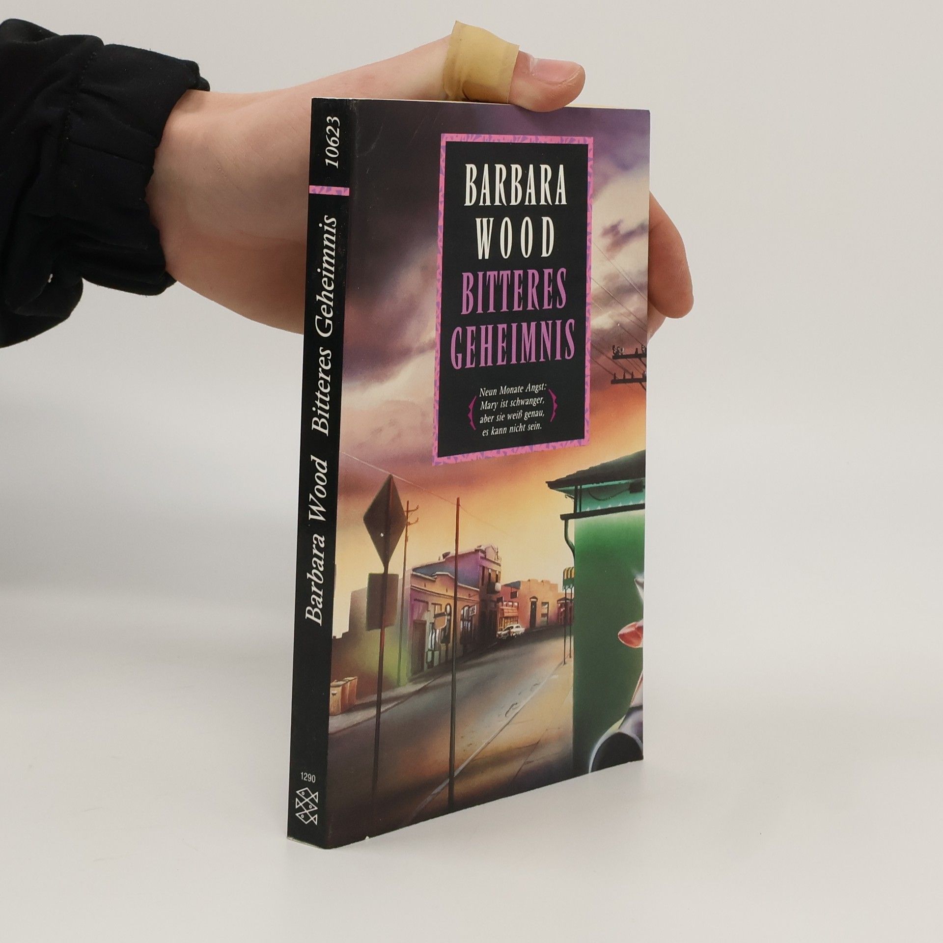 Barbara Wood Bitteres Geheimnis