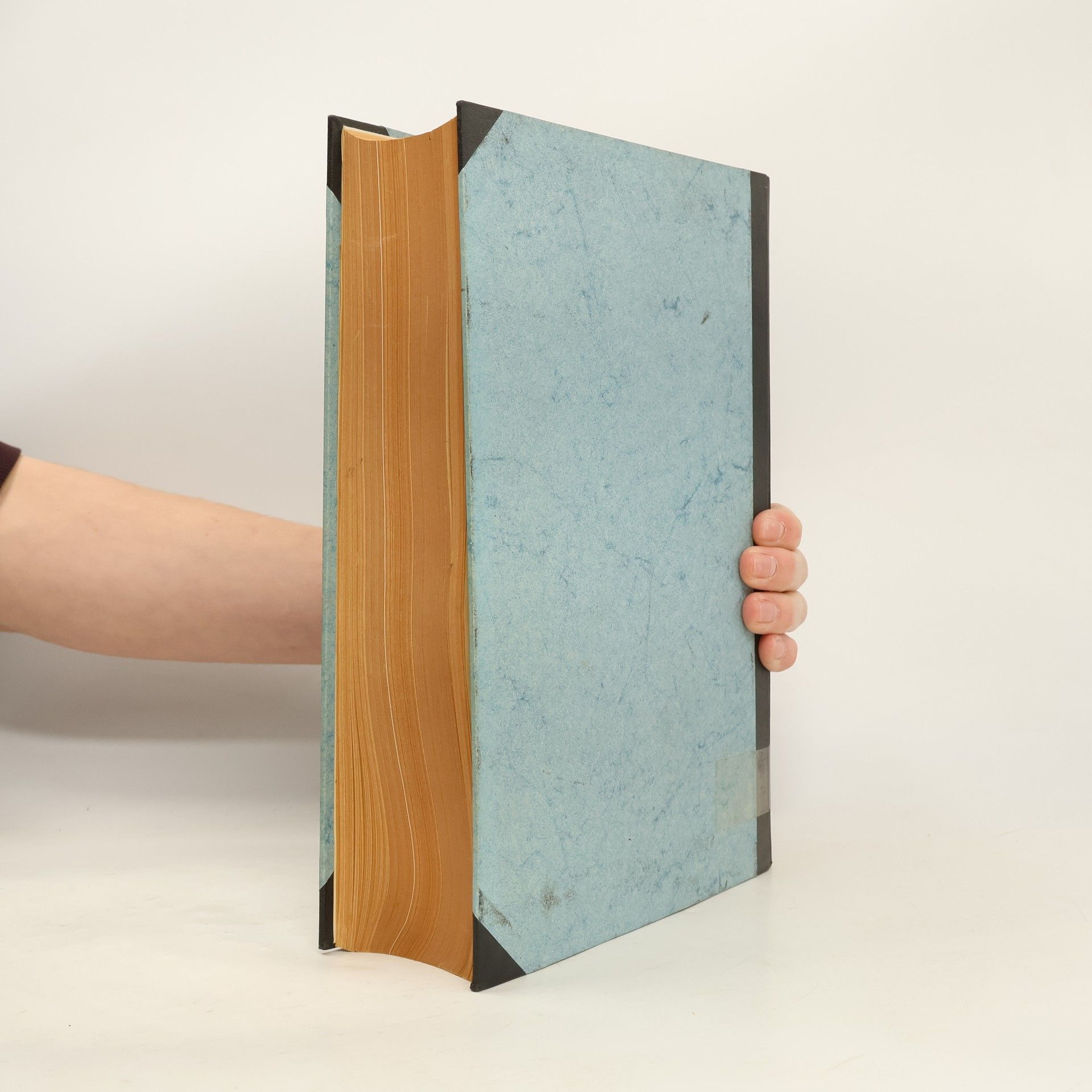 Autorenkollektiv Münchener Medizinische Wochenschrift 109. Jahrgang