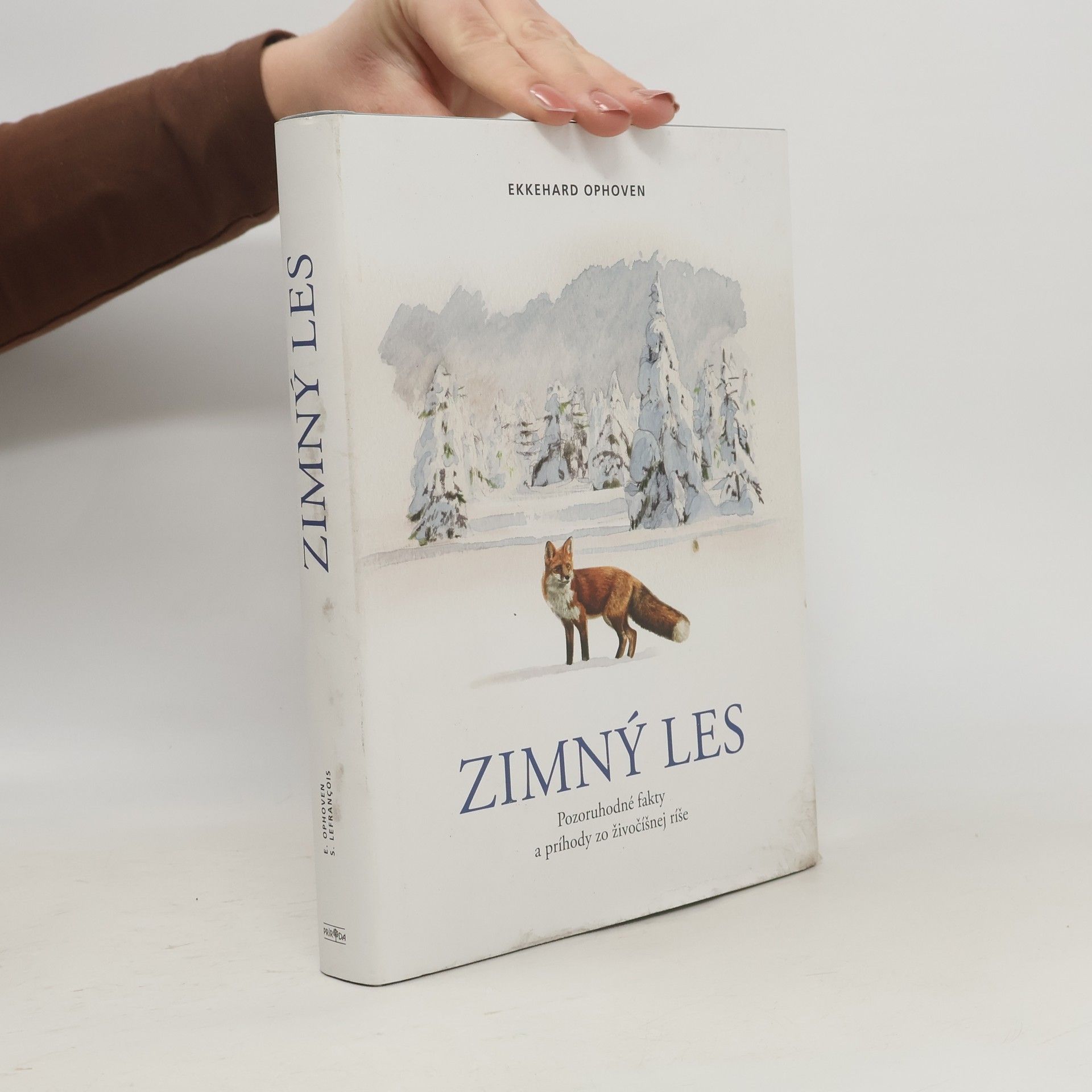 Ekkehard Ophoven Zimný les