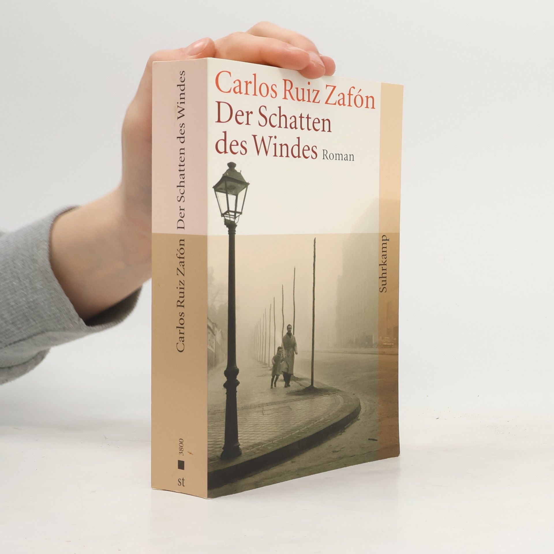 Carlos Ruiz Safon Der Schatten des Windes