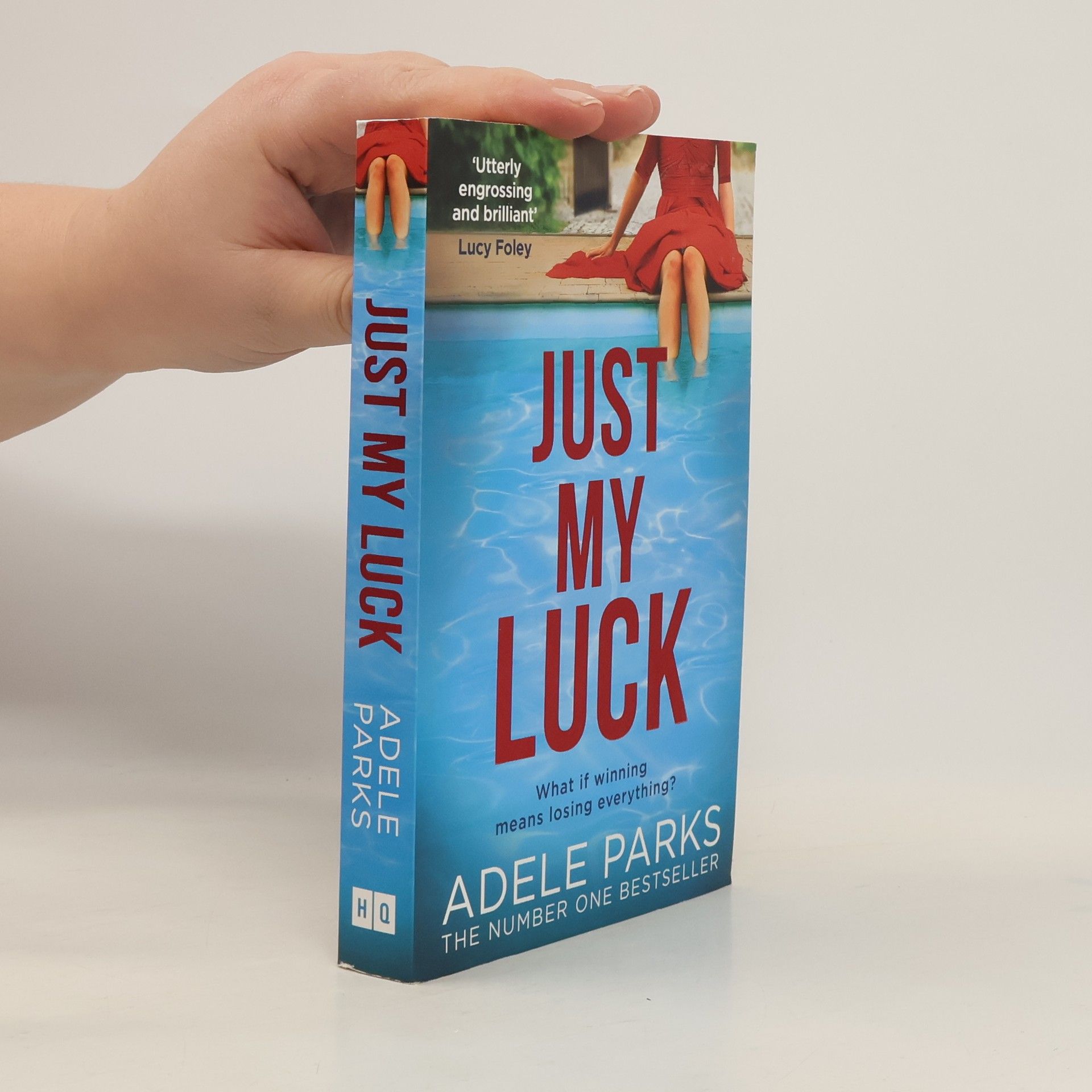 Adele Parks Just My Luck