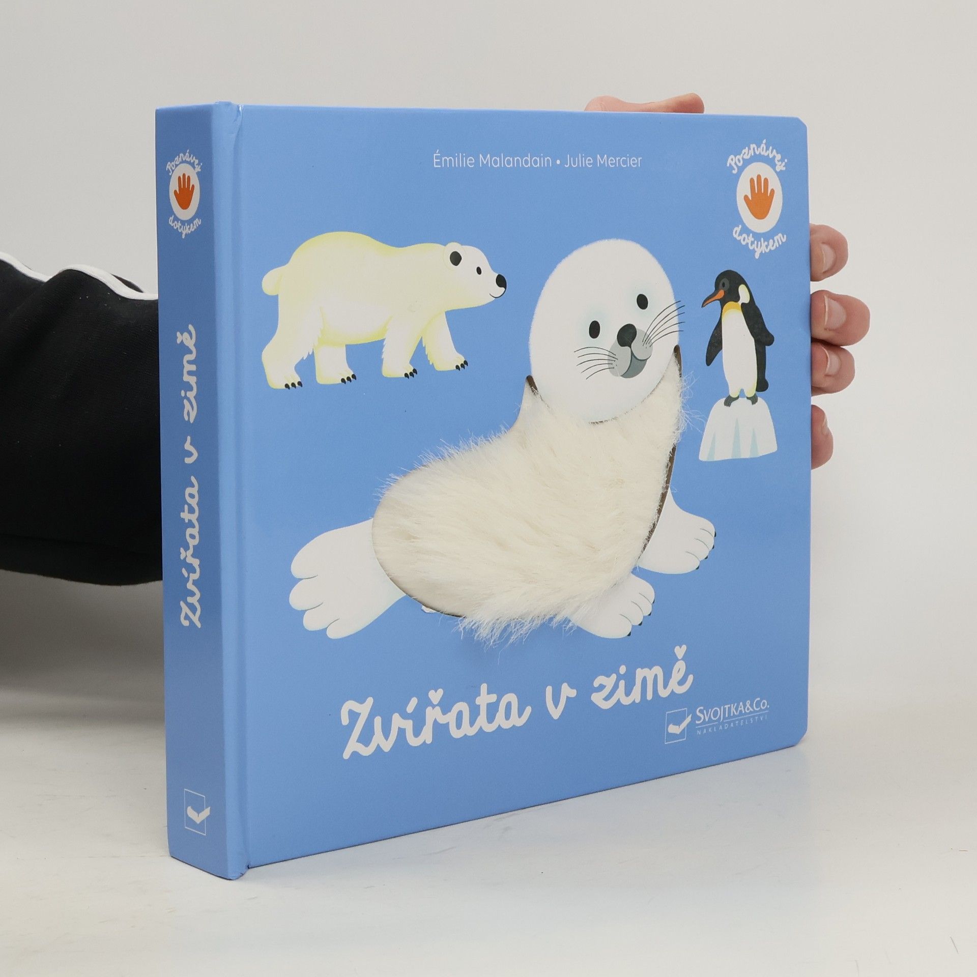 Émilie Malandain Zvířata v zimě