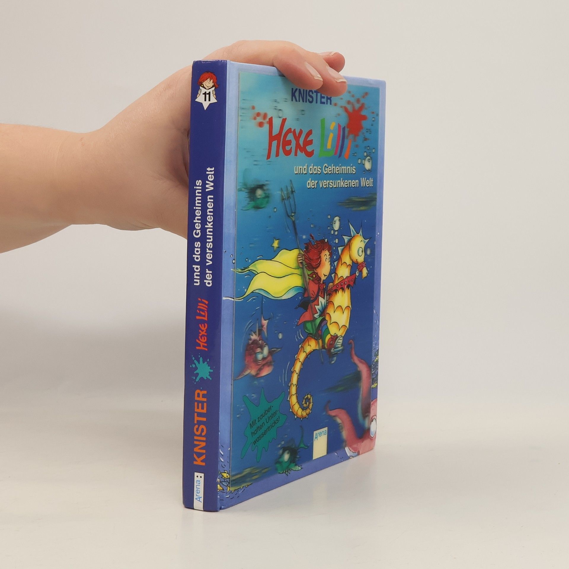 Knister Hexe Lilli und das Geheimnis der versunkenen Welt