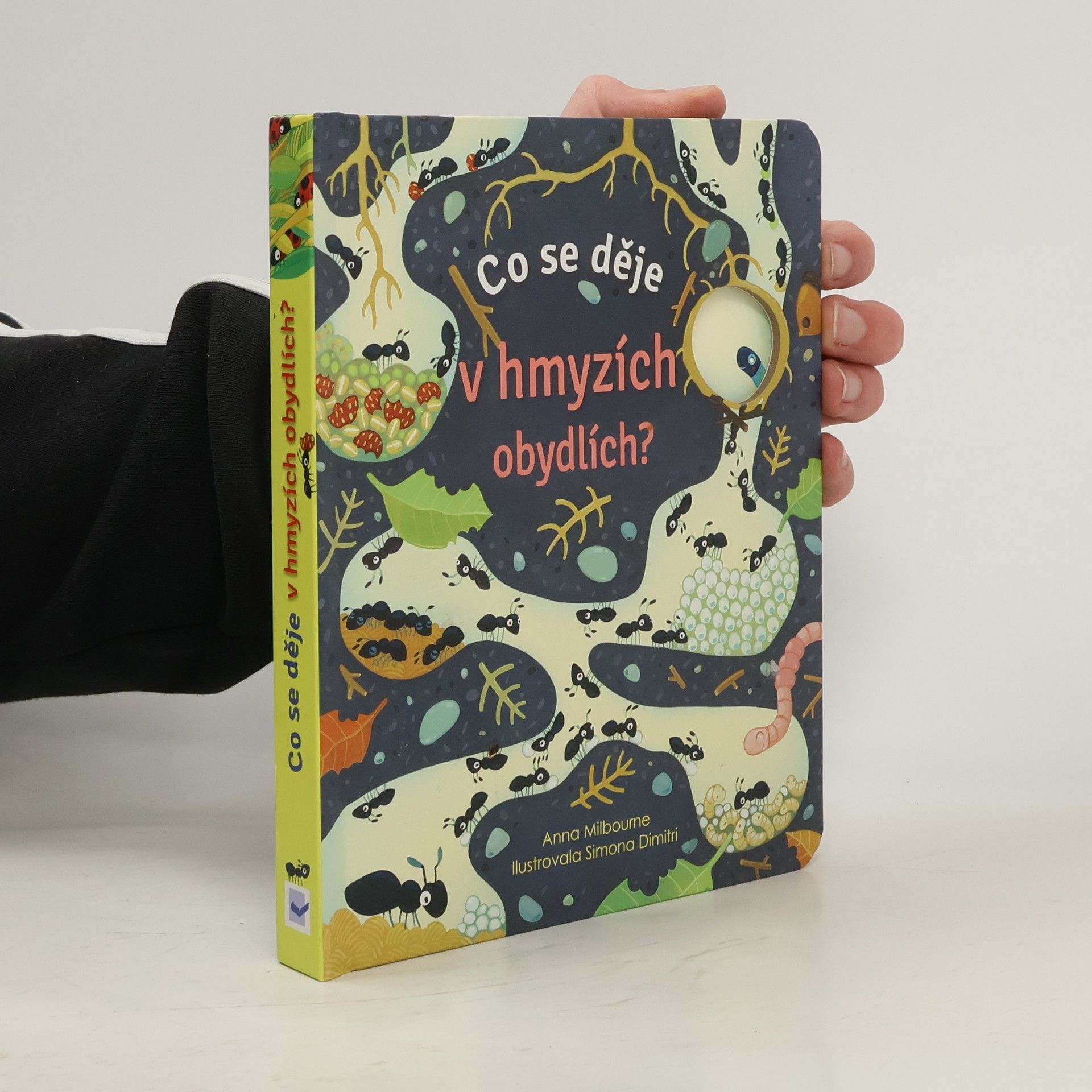 Anna Milbourne Co se děje v hmyzích obydlích?