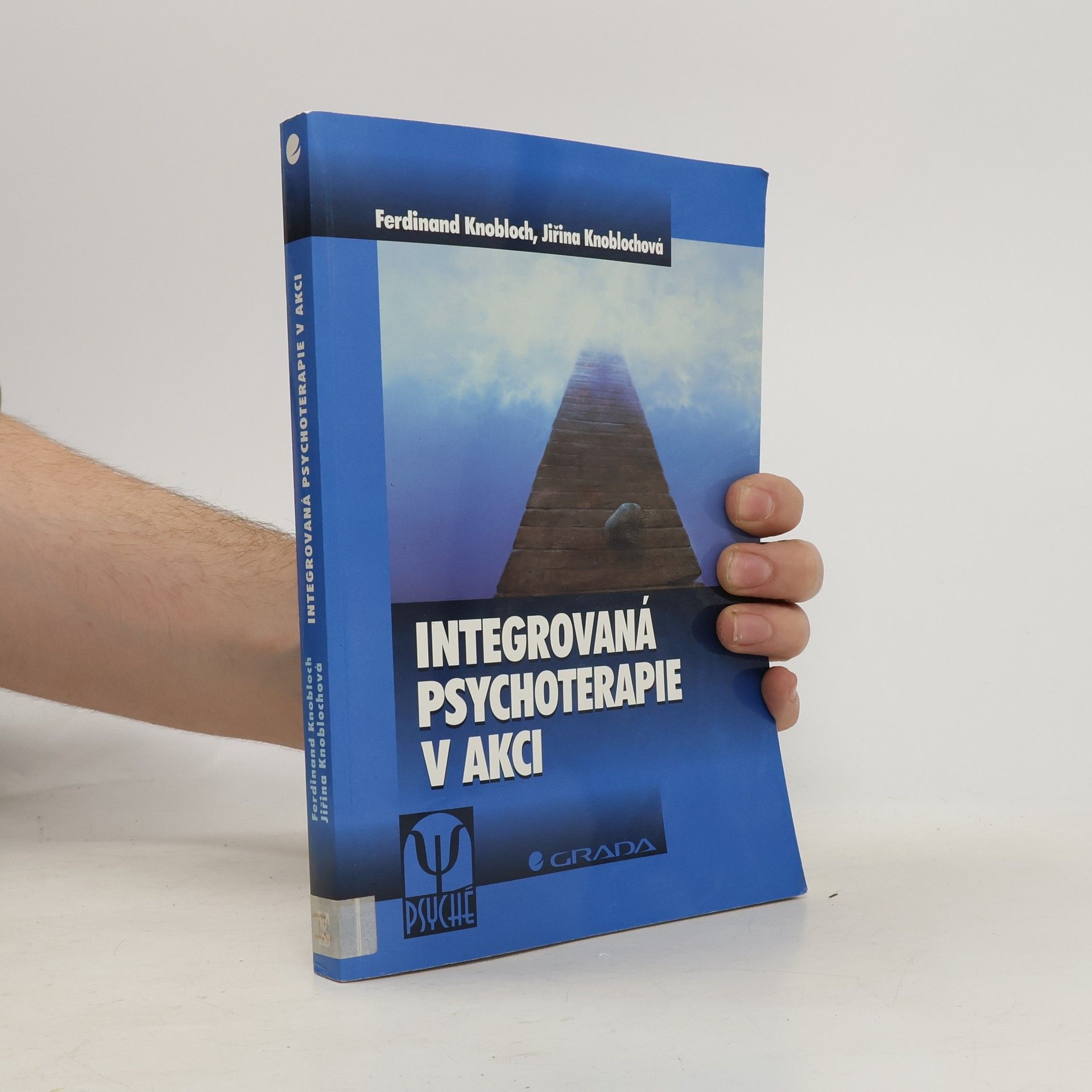 Integrovaná psychoterapie v akci