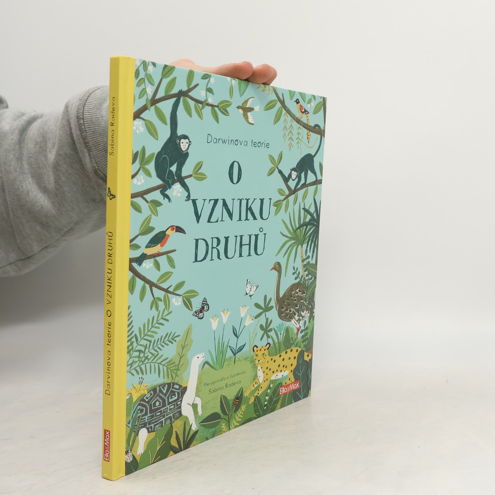 Sabina Radeva O vzniku druhů