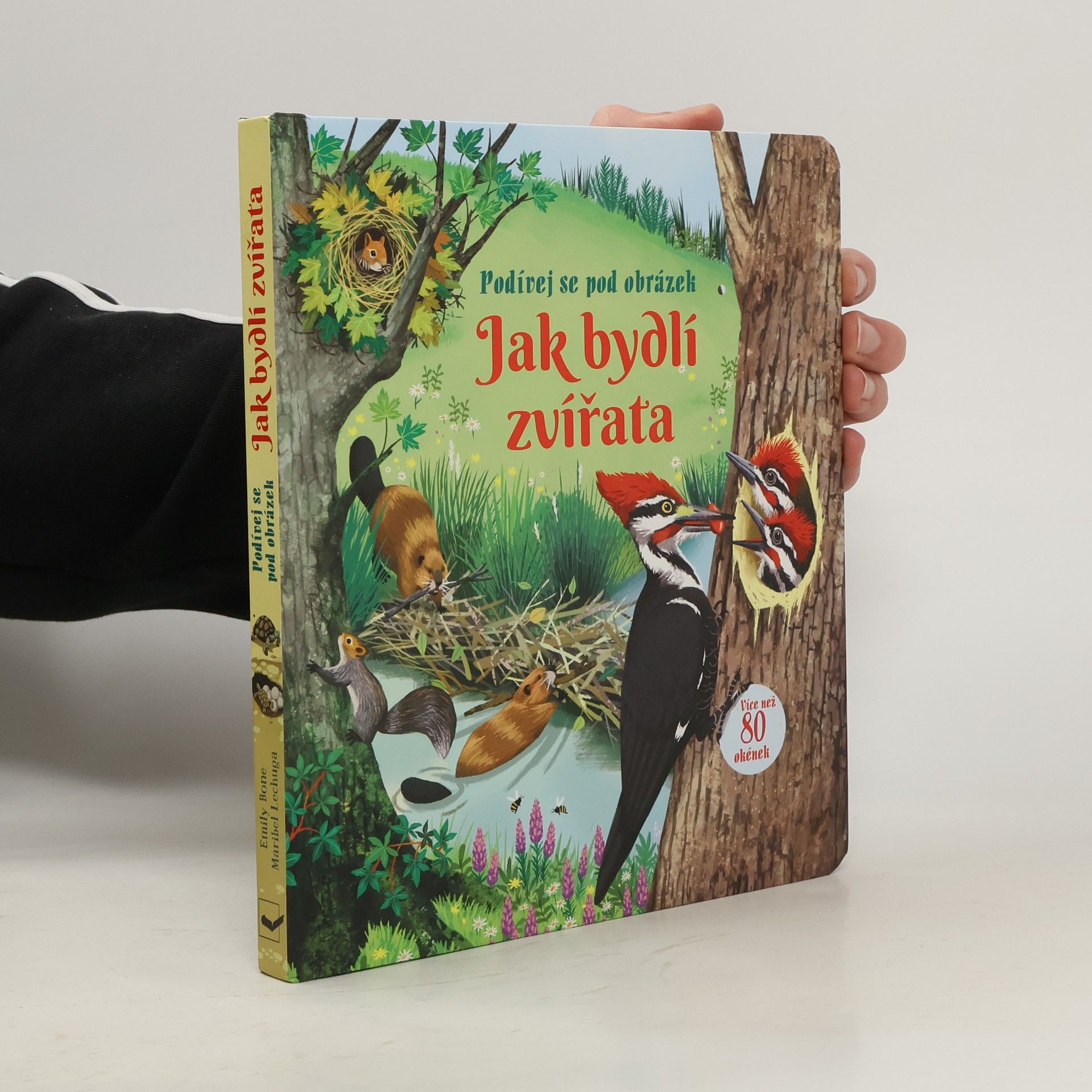 Emily Bone Podívej se pod obrázek: Jak bydlí zvířata