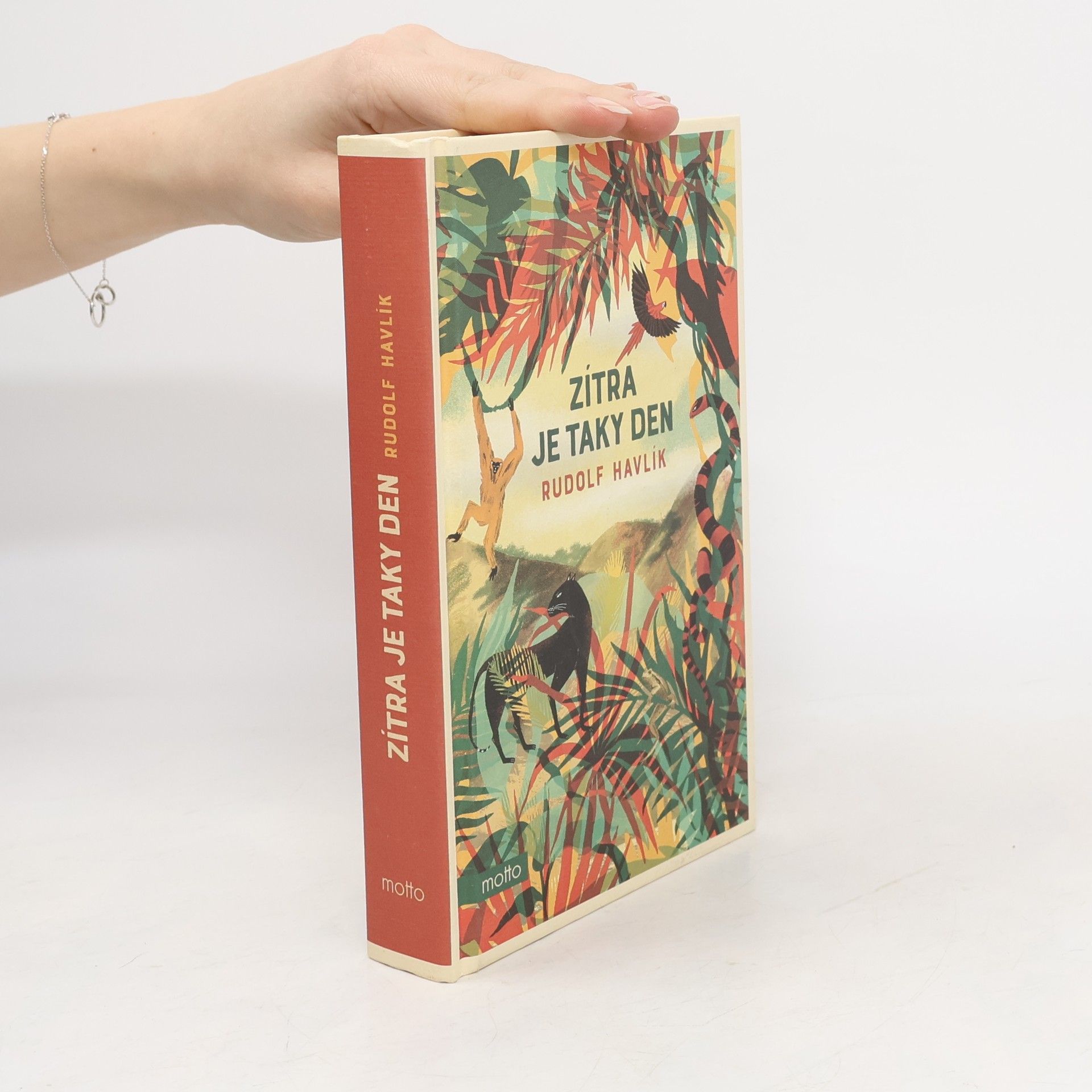 Rudolf Havlík Zítra je taky den