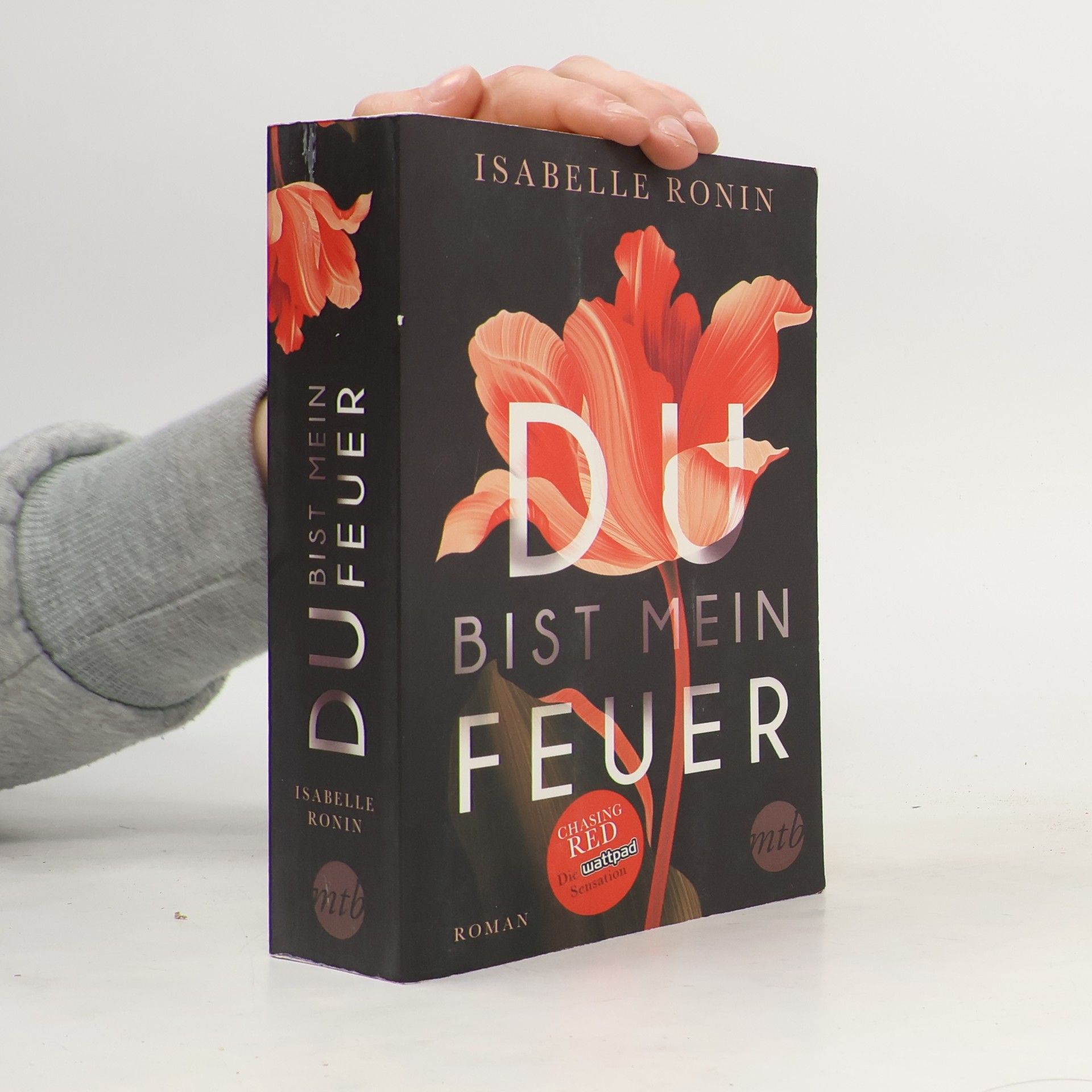 Isabelle Ronin Du bist mein Feuer