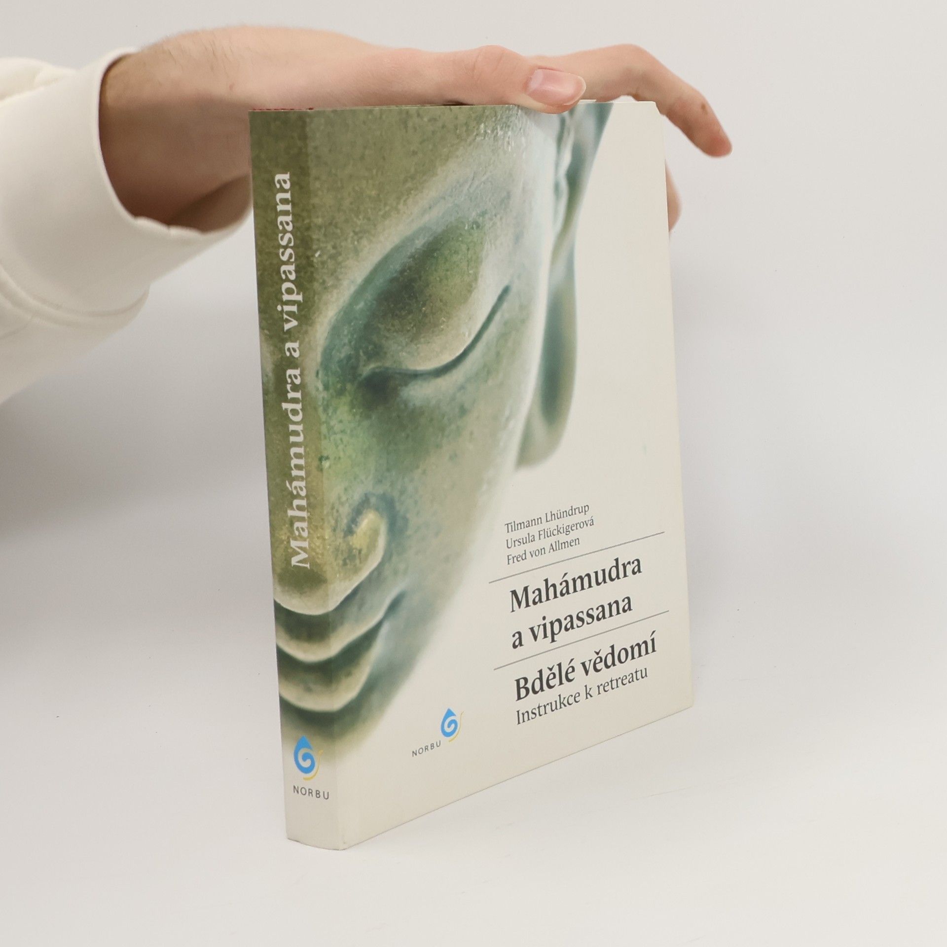 Tilmann Lhündrup Mahámudra a vipassana - Bdělé vědomí