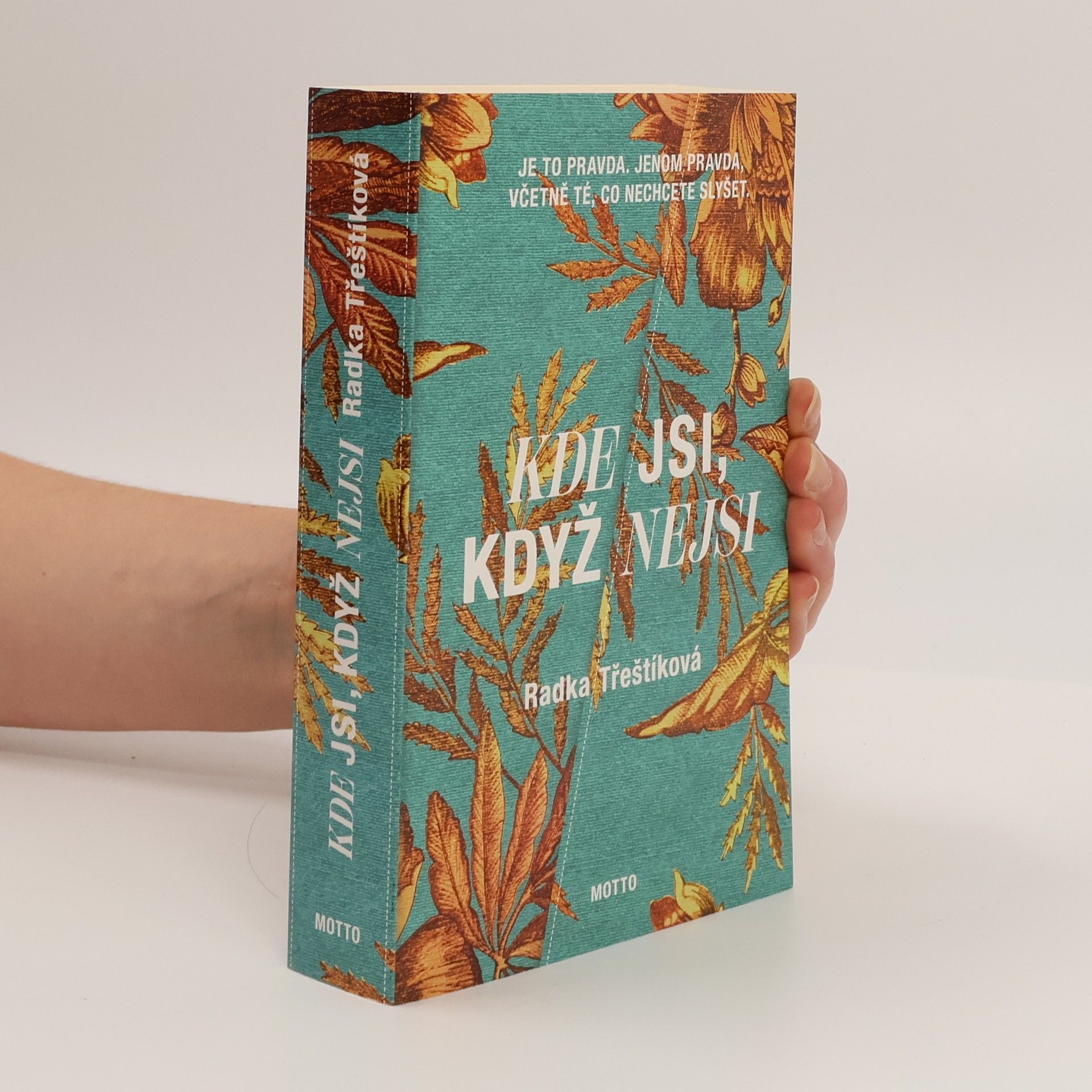 Radka Třeštíková Kde jsi, když nejsi