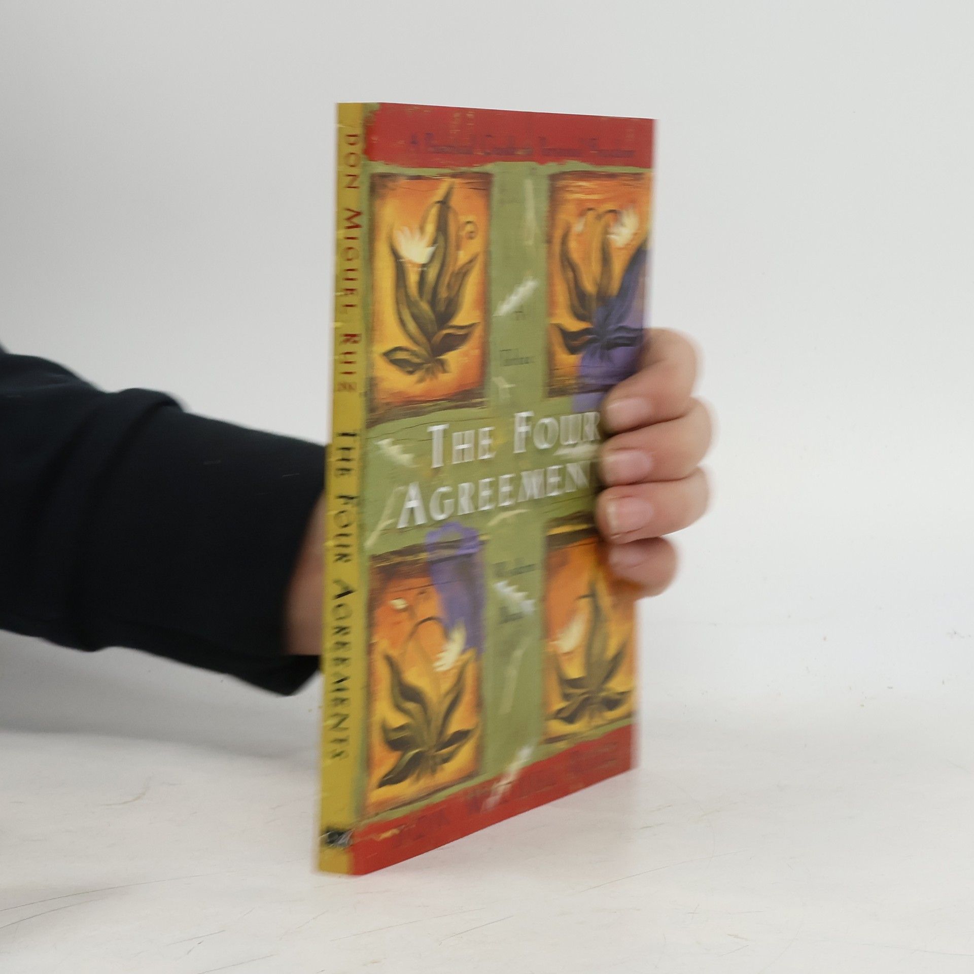 Don Miguel Ruiz The Four Agreements