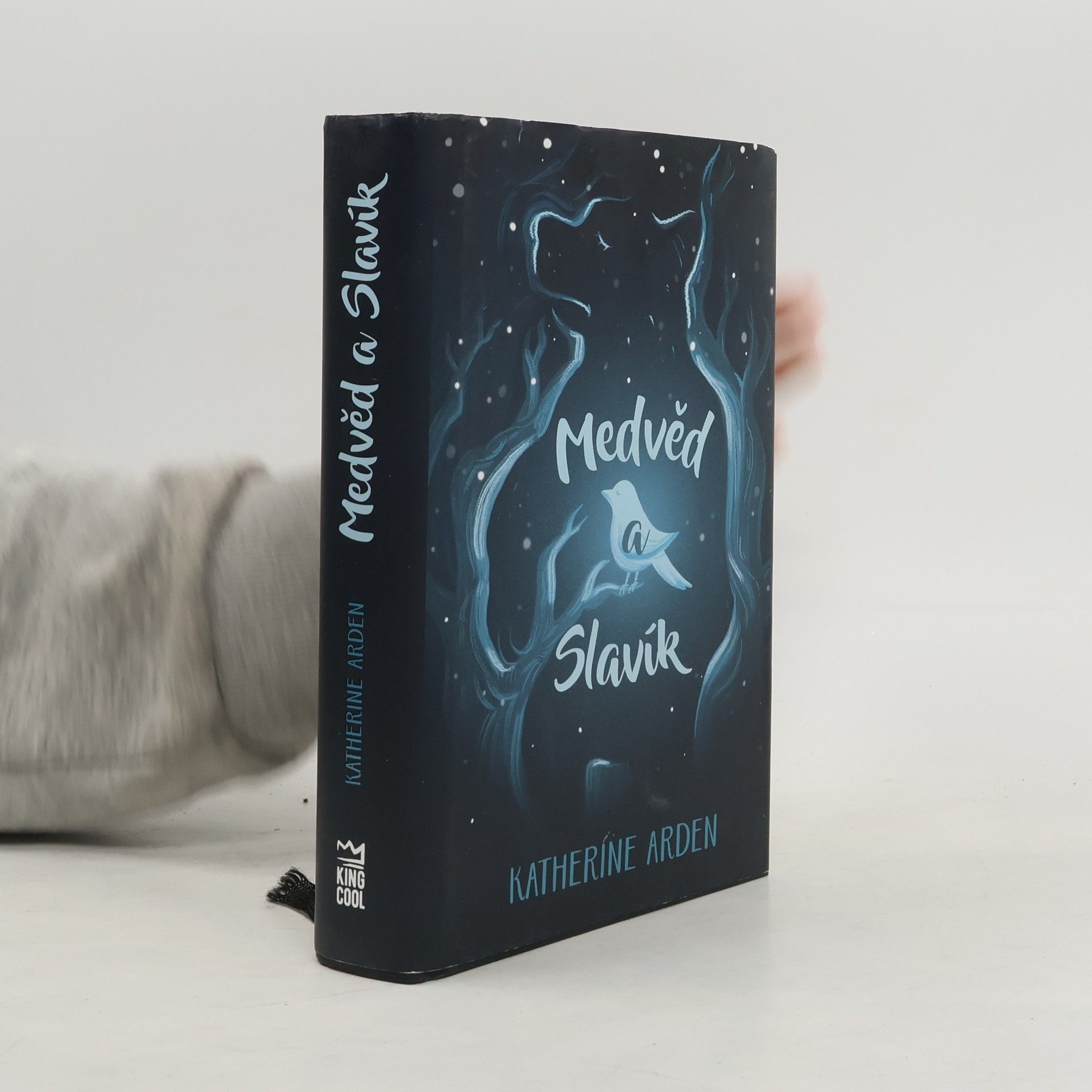 Katherine Arden Medvěd a Slavík