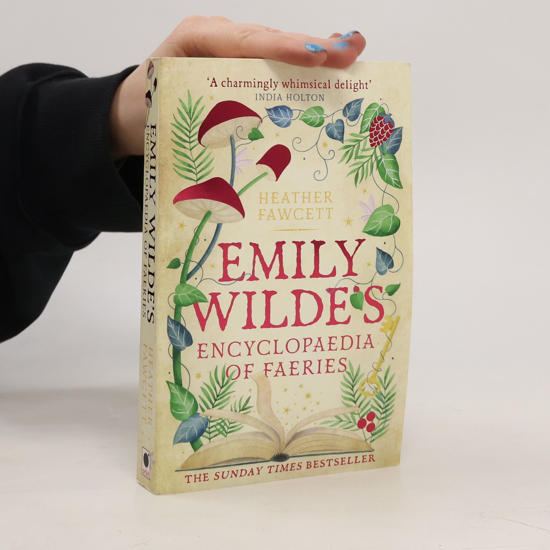 Heather Fawcett Emily Wilde's Encyclopaedia of Faeries