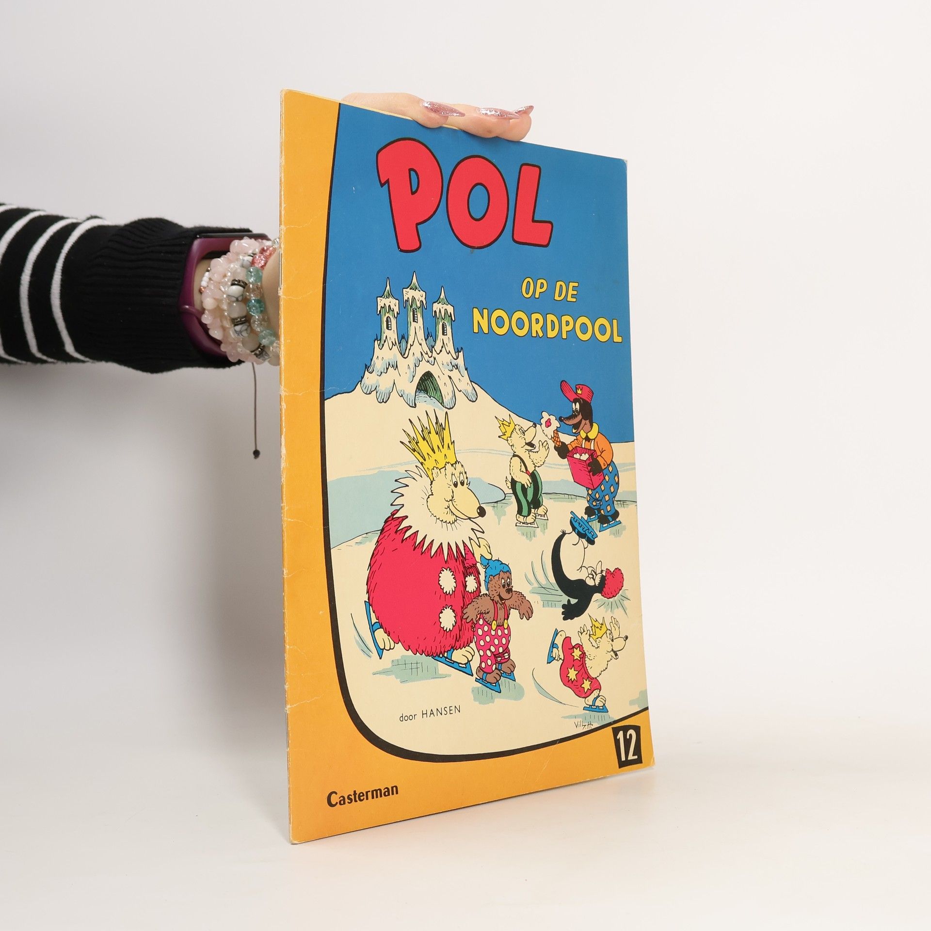 Hansen Pol op de Noordpool