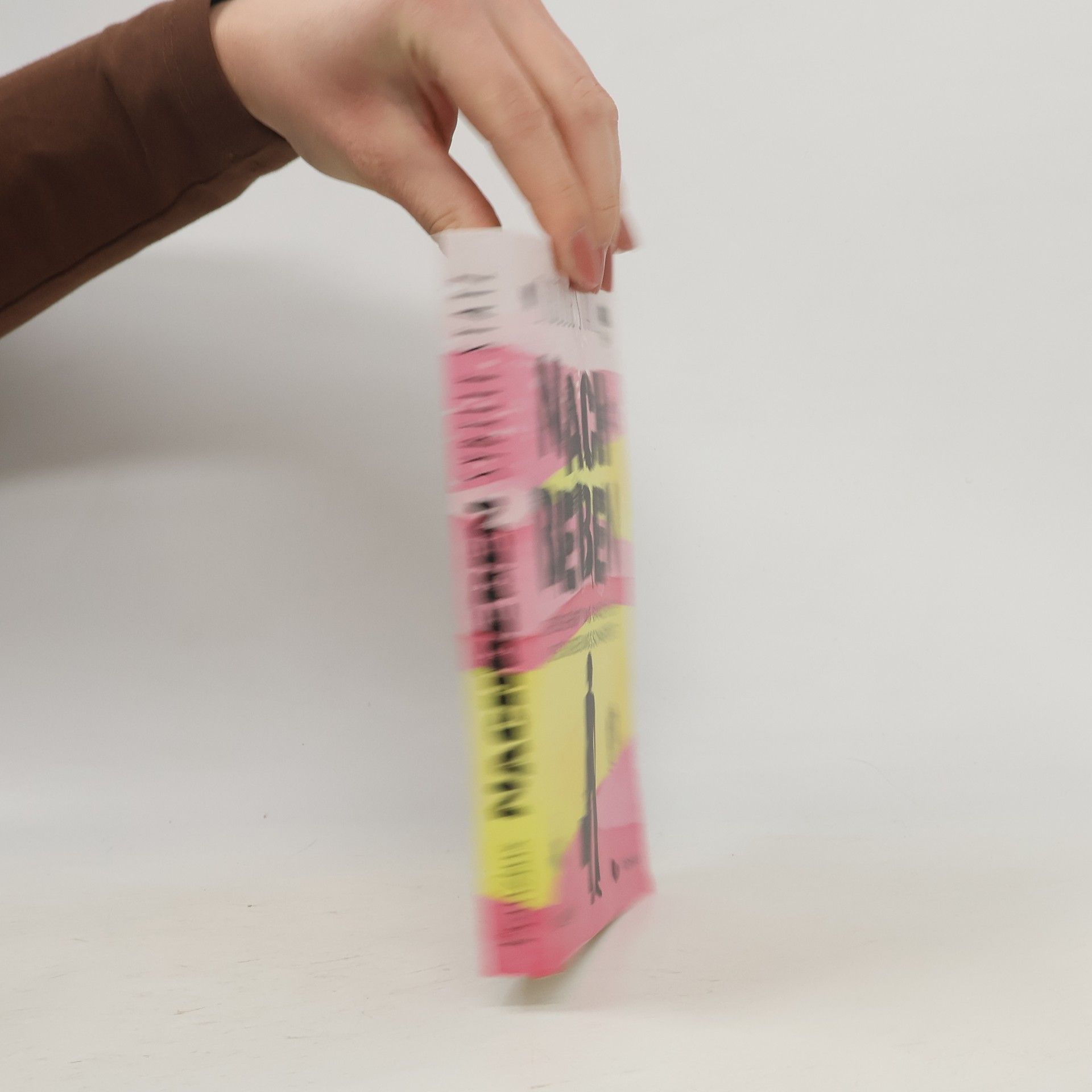 Sybille Statz Nachbeben