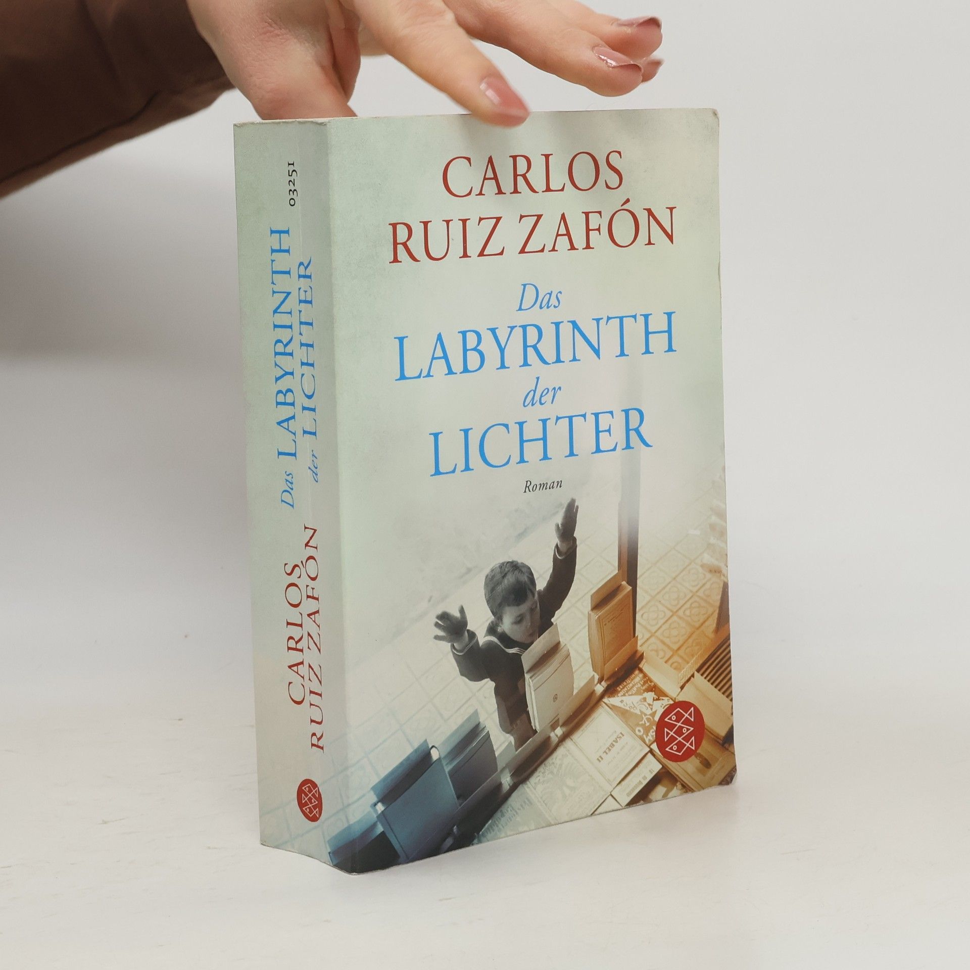 Carlos Ruiz Zafón Das Labyrinth der Lichter